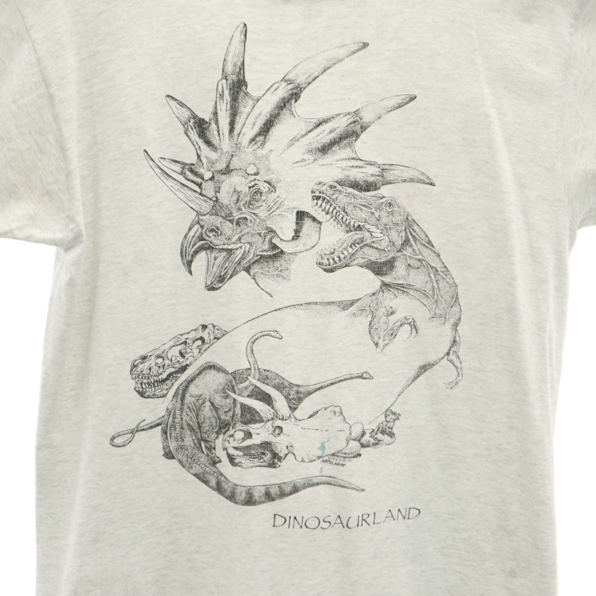 FRUIT OF THE LOOM フルーツオブザルーム 90s USA製 オールド ミュージアム 恐竜 半袖 Tシャツ M グレー シングルステッチ メンズ