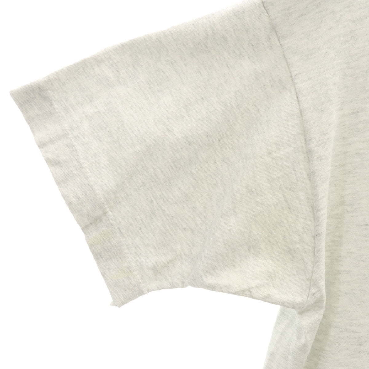 FRUIT OF THE LOOM フルーツオブザルーム 90s USA製 オールド ミュージアム 恐竜 半袖 Tシャツ M グレー シングルステッチ メンズ