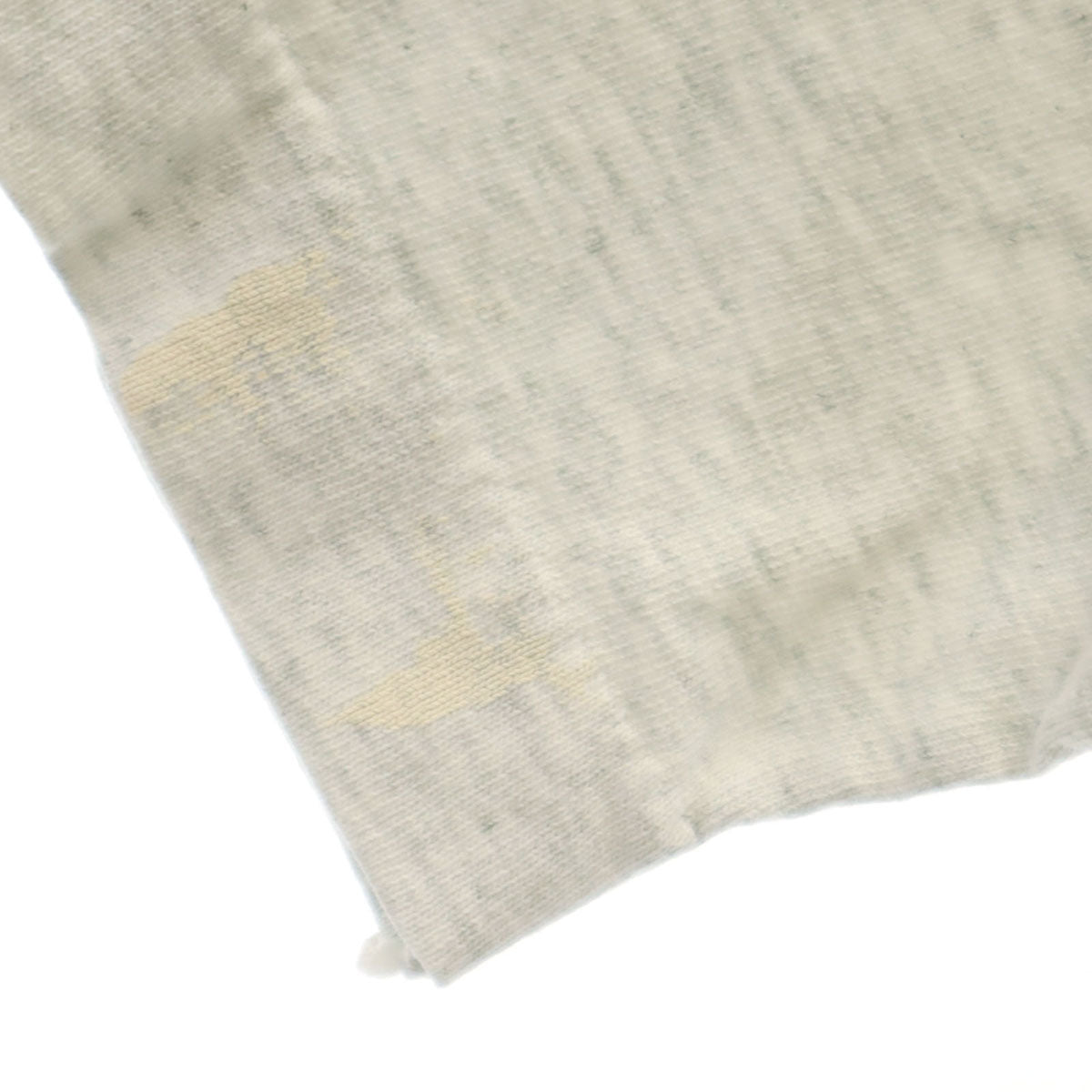 FRUIT OF THE LOOM フルーツオブザルーム 90s USA製 オールド ミュージアム 恐竜 半袖 Tシャツ M グレー シングルステッチ メンズ