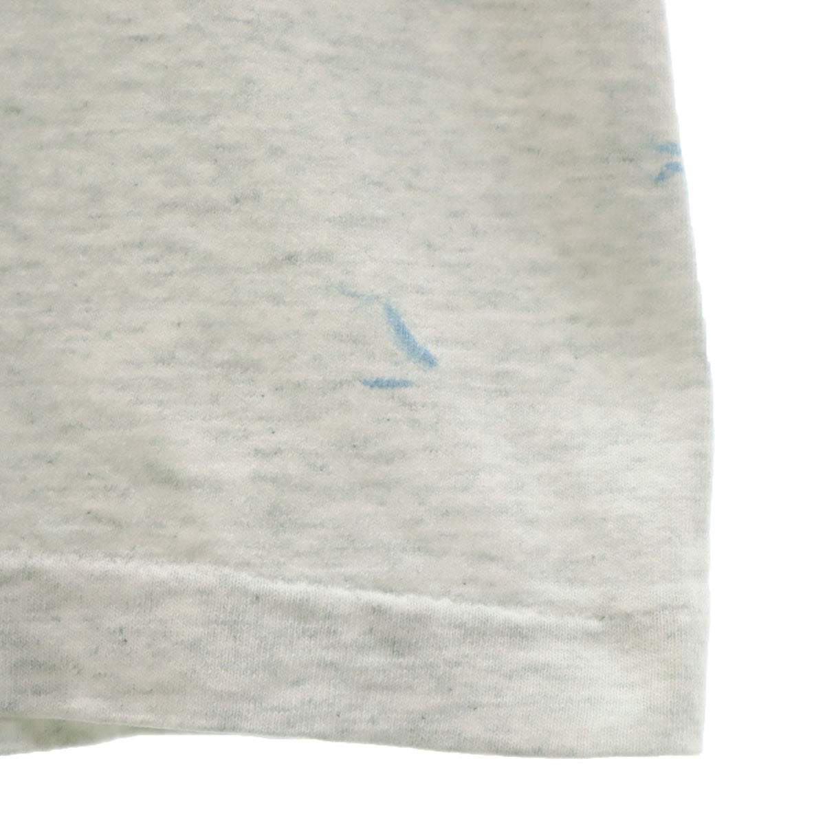 FRUIT OF THE LOOM フルーツオブザルーム 90s USA製 オールド ミュージアム 恐竜 半袖 Tシャツ M グレー シングルステッチ メンズ