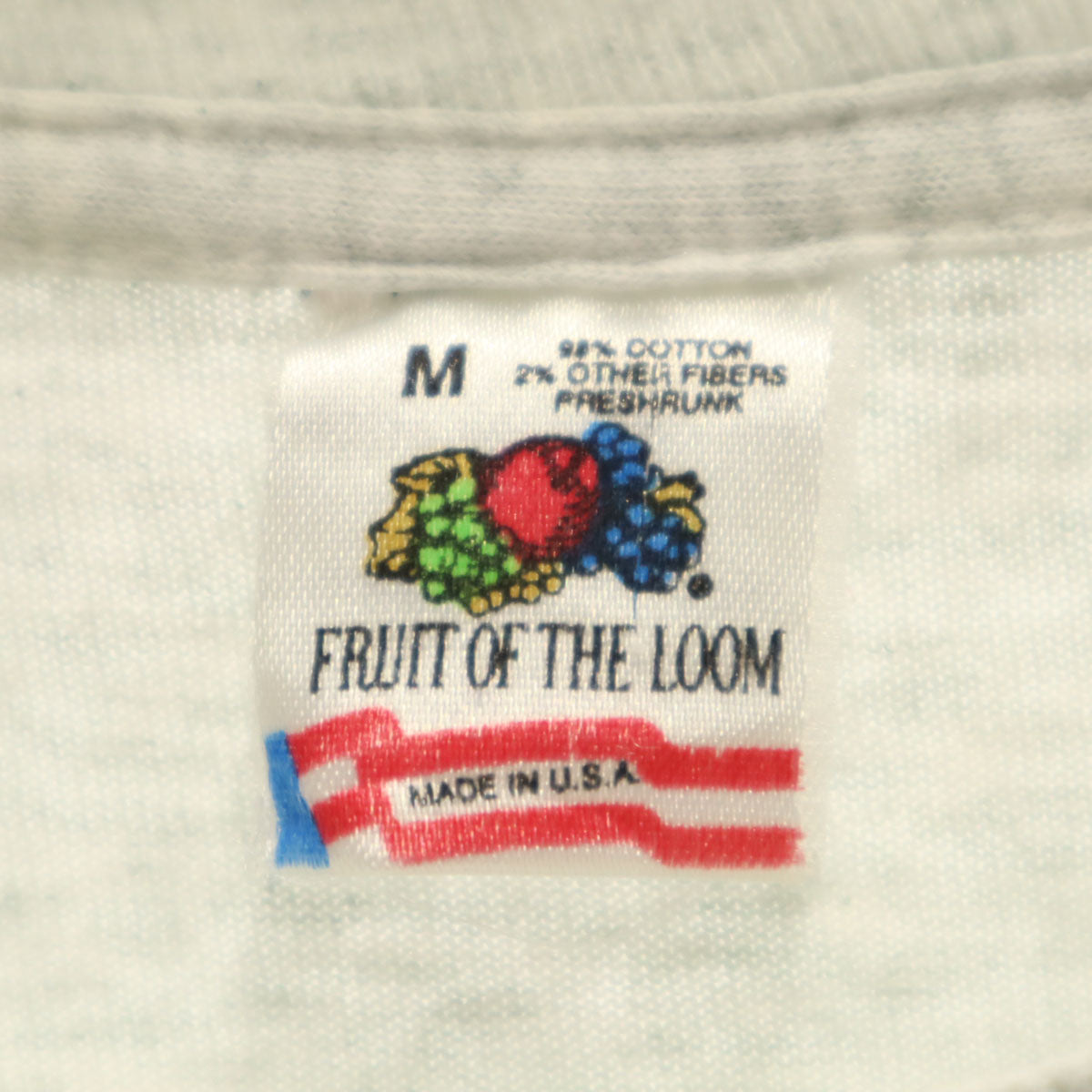 FRUIT OF THE LOOM フルーツオブザルーム 90s USA製 オールド ミュージアム 恐竜 半袖 Tシャツ M グレー シングルステッチ メンズ