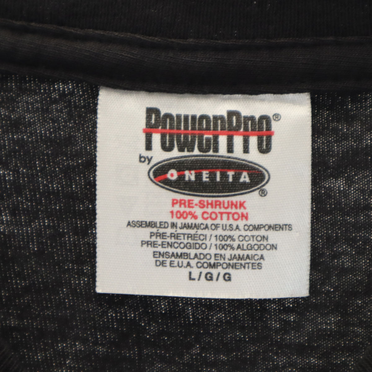 POWER PRO by ONEITA パワープロバイオニータ サザンオールスターズ 2000年ツアー 伊豆だらけのローラ 半袖 Tシャツ L ブラック 桑田佳祐 メンズ