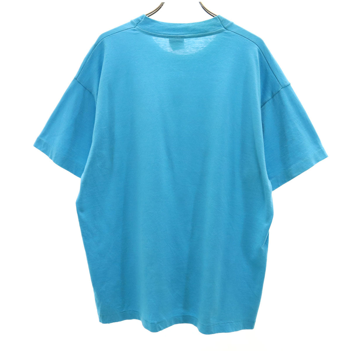 FRUIT OF THE LOOM フルーツオブザルーム 90s USA製 オールド 半袖 Tシャツ L ブルー系 BEST シングルステッチ メンズ