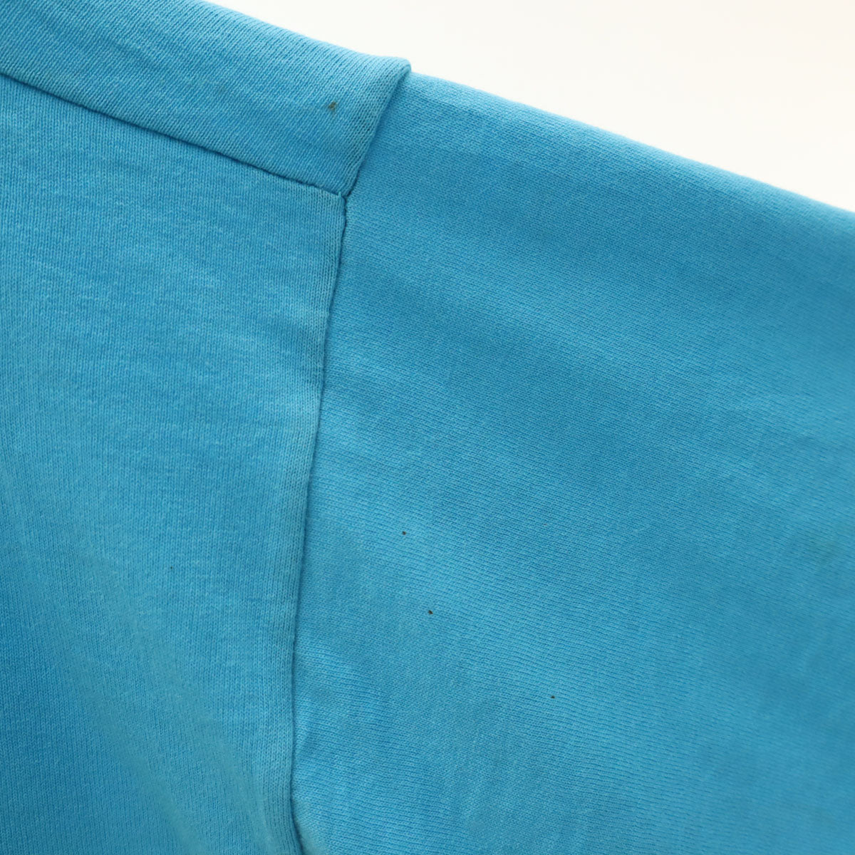 FRUIT OF THE LOOM フルーツオブザルーム 90s USA製 オールド 半袖 Tシャツ L ブルー系 BEST シングルステッチ メンズ