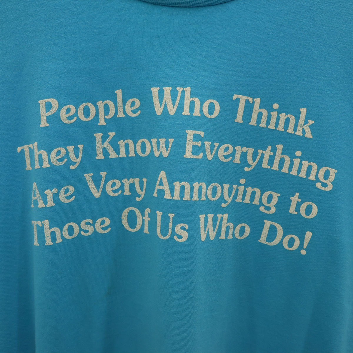 FRUIT OF THE LOOM フルーツオブザルーム 90s USA製 オールド 半袖 Tシャツ L ブルー系 BEST シングルステッチ メンズ