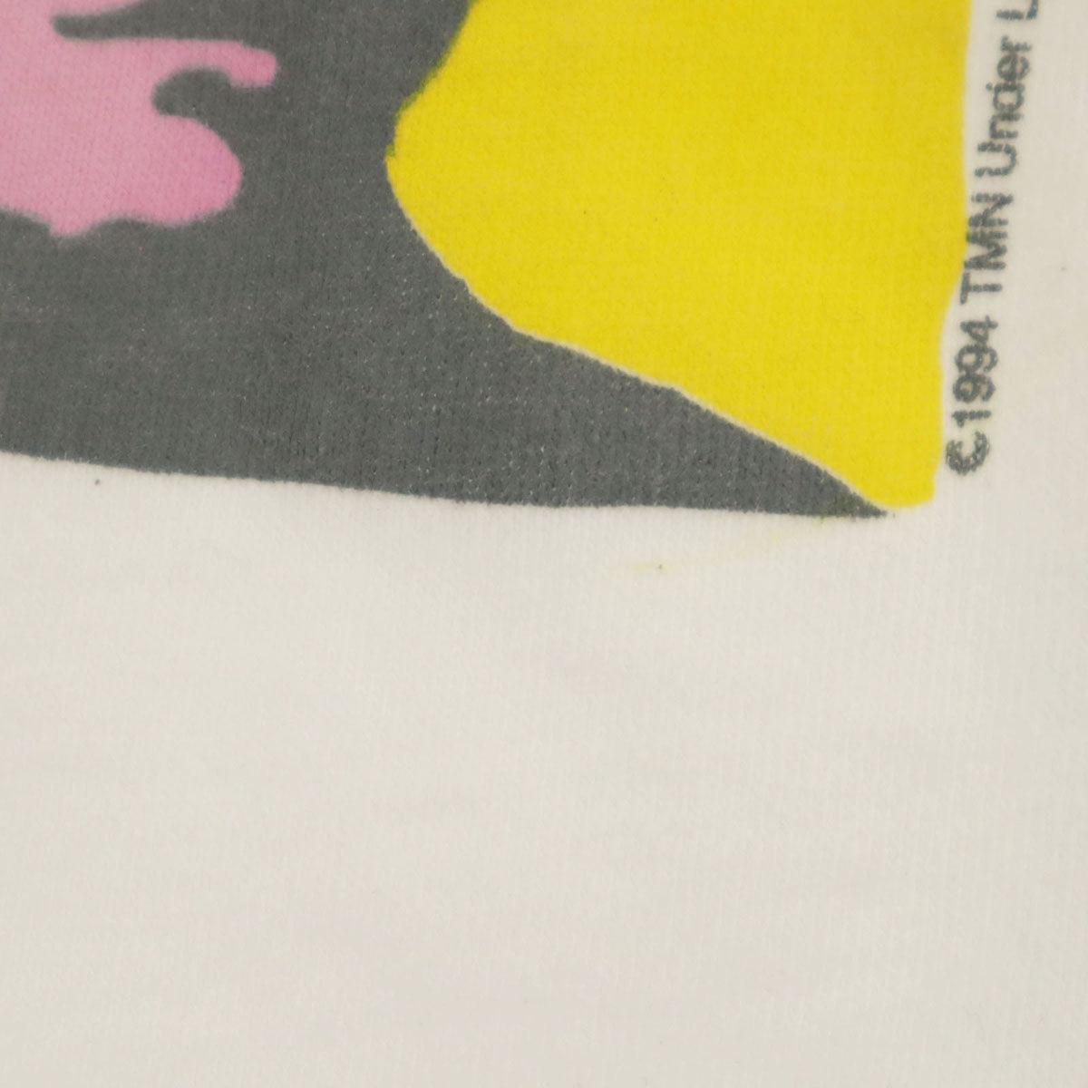 BROCKUM WORLDWIDE ブロッカム ワールドワイド 90s USA製 オールド TMN 小室哲哉 プリント 半袖 Tシャツ L ホワイト メンズ