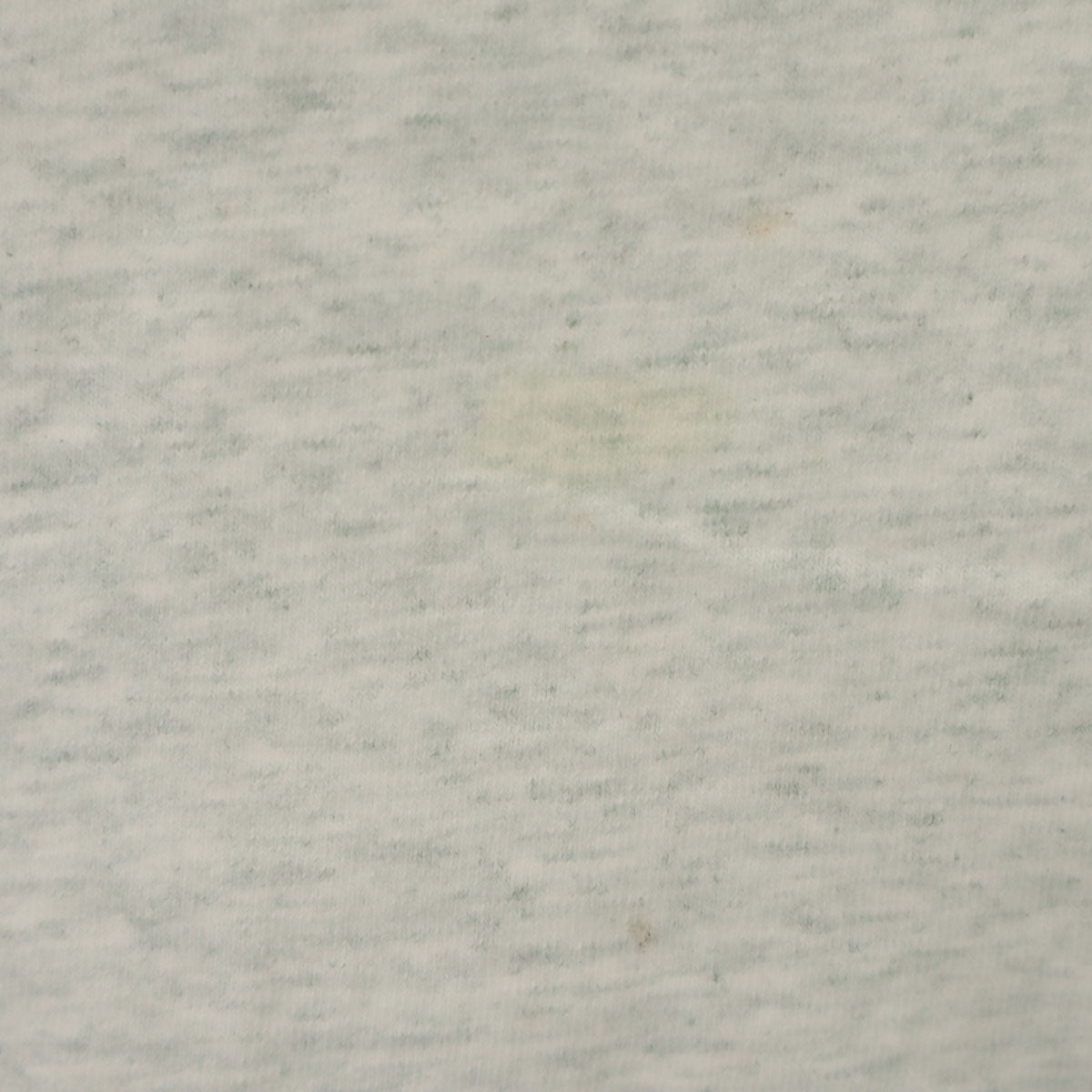 FRUIT OF THE LOOM フルーツオブザルーム オールド ヒトｍ-カルパイン 半袖 Tシャツ L グレー メンズ