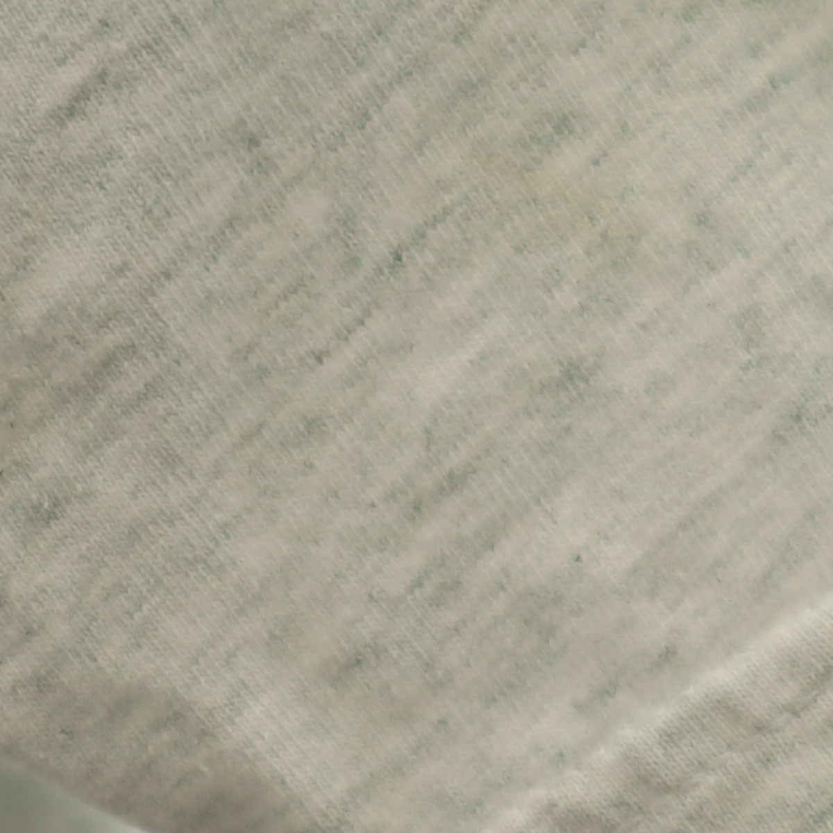 FRUIT OF THE LOOM フルーツオブザルーム オールド ヒトｍ-カルパイン 半袖 Tシャツ L グレー メンズ