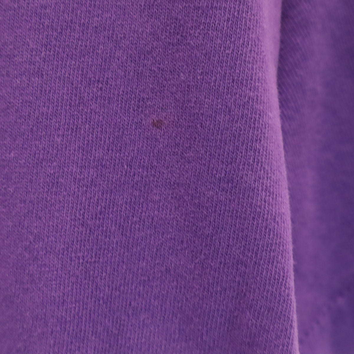 FRUIT OF THE LOOM フルーツオブザルーム 90s オールド USA製 キャット 半袖 Tシャツ S パープル シングルステッチ 猫 メンズ