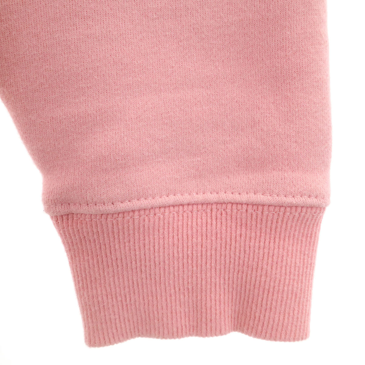 STUSSY ステューシー バックロゴ 長袖 スウェットパーカー M ピンク 裏起毛 メンズ