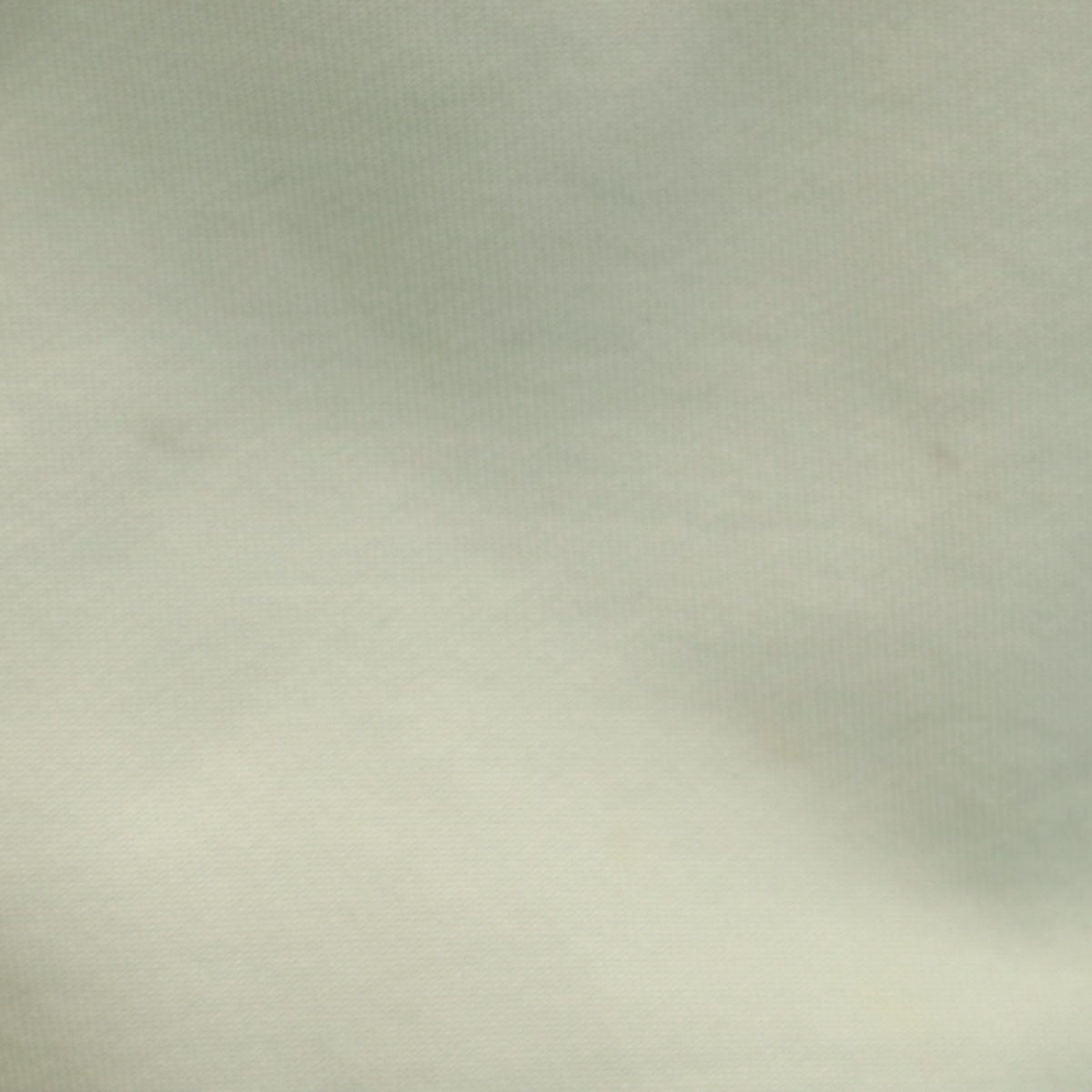 AURALEE オーラリー 日本製 長袖 スウェット トレーナー 4 グリーン系 裏起毛 メンズ