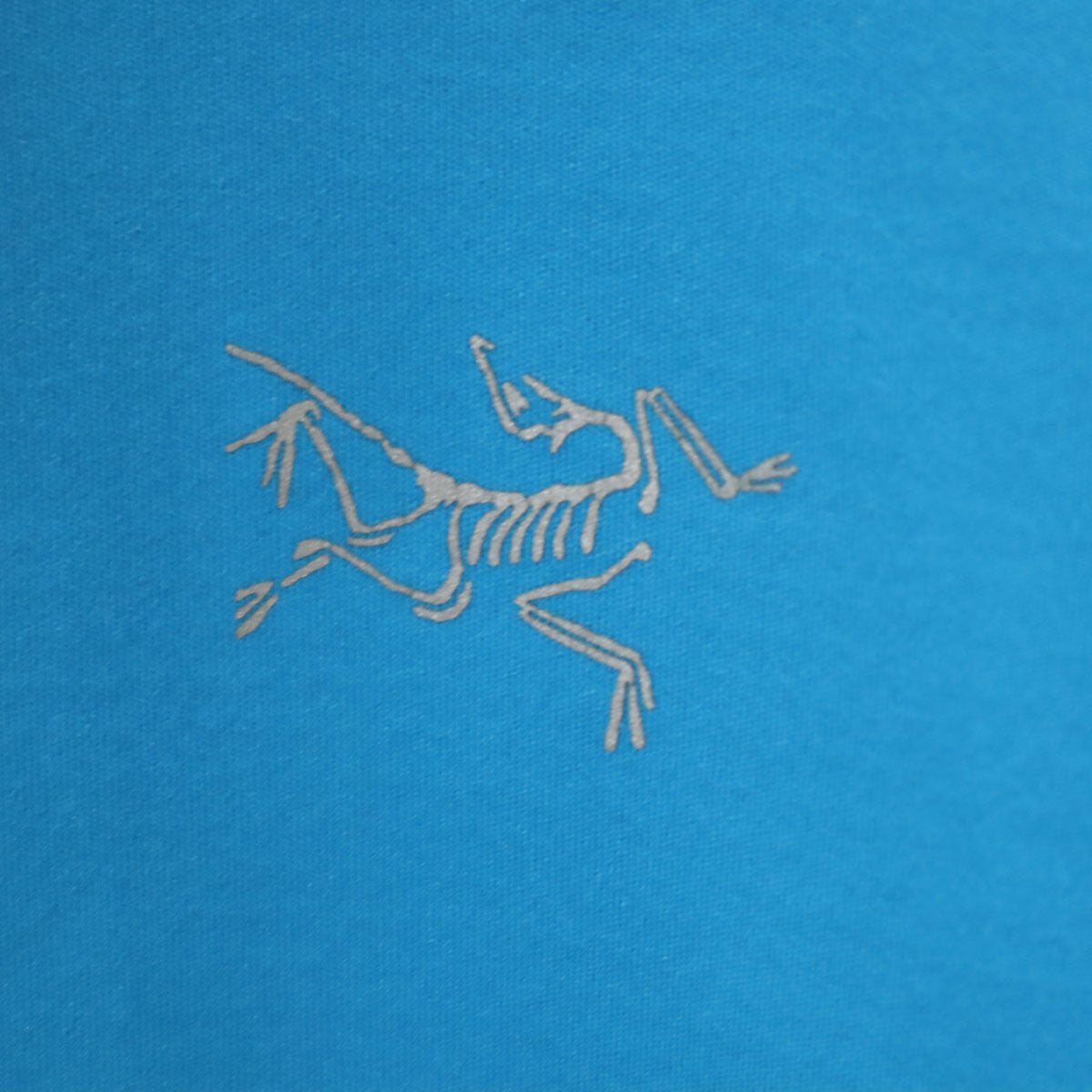 ARC'TERYX アークテリクス ソフトシェル ジャケット M 水色 アウトドア メンズ