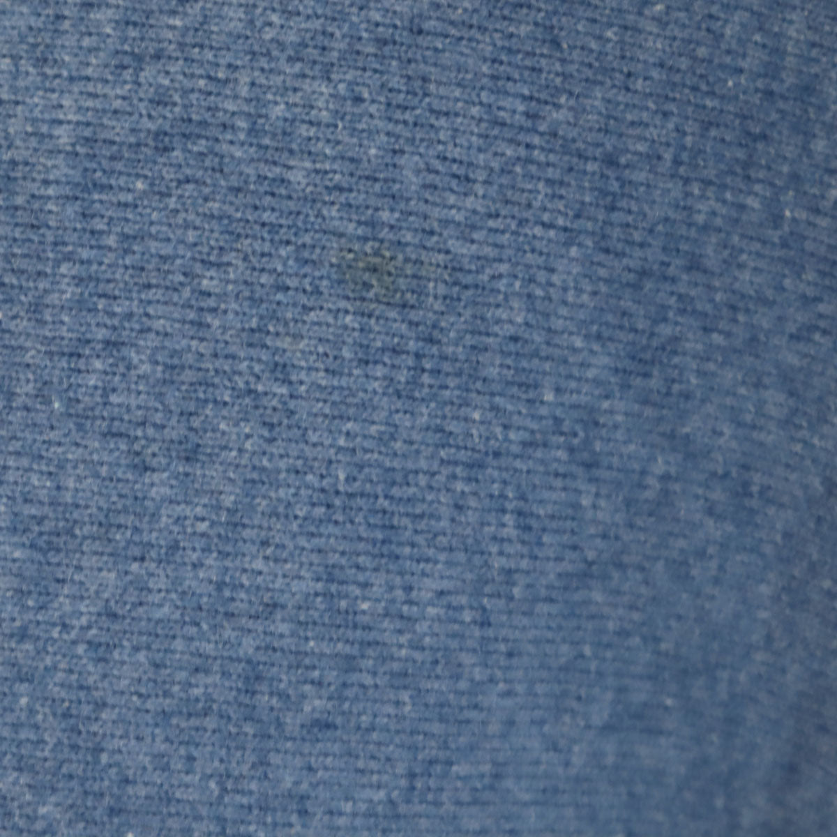 Champion チャンピオン 90s USA製 オールド 刺繍タグ 長袖 リバースウィーブ スウェット トレーナー XL ブルー系 メンズ