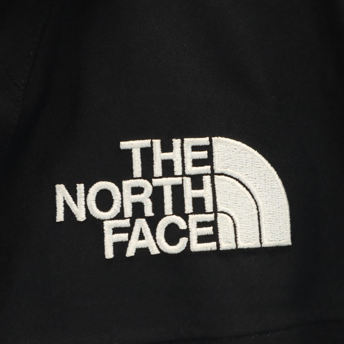 THE NORTH FACE ザノースフェイス ゴアテックス マウンテンジャケット M ブラック アウトドア NPW61800 レディース