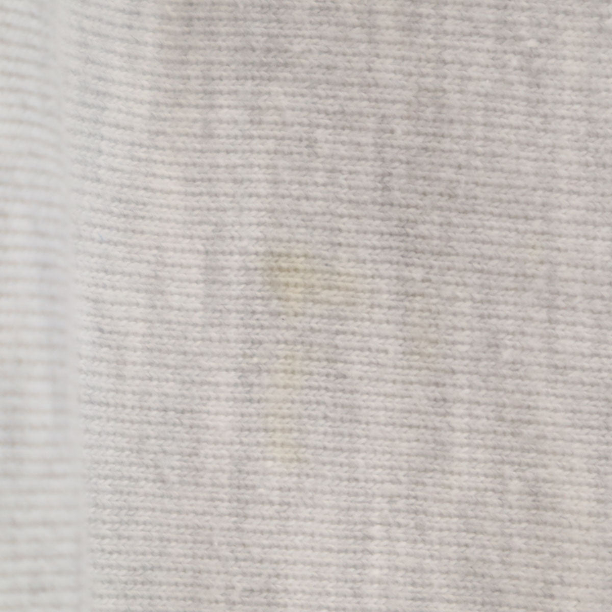 Champion チャンピオン プレミアム 長袖 スウェット L ライトグレー系 メンズ