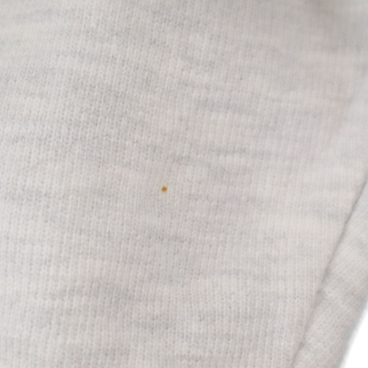 Champion チャンピオン プレミアム 長袖 スウェット L ライトグレー系 メンズ