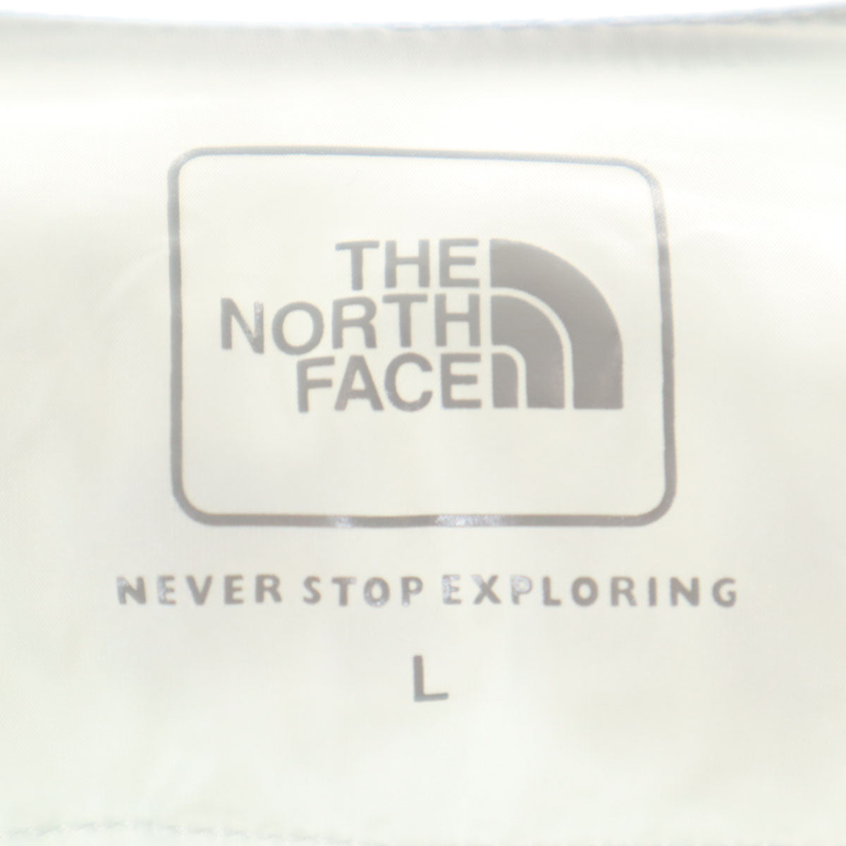 THE NORTH FACE ノースフェイス レッドランプロ 中綿ベスト L ティングレー NY81972 アウトドア メンズ