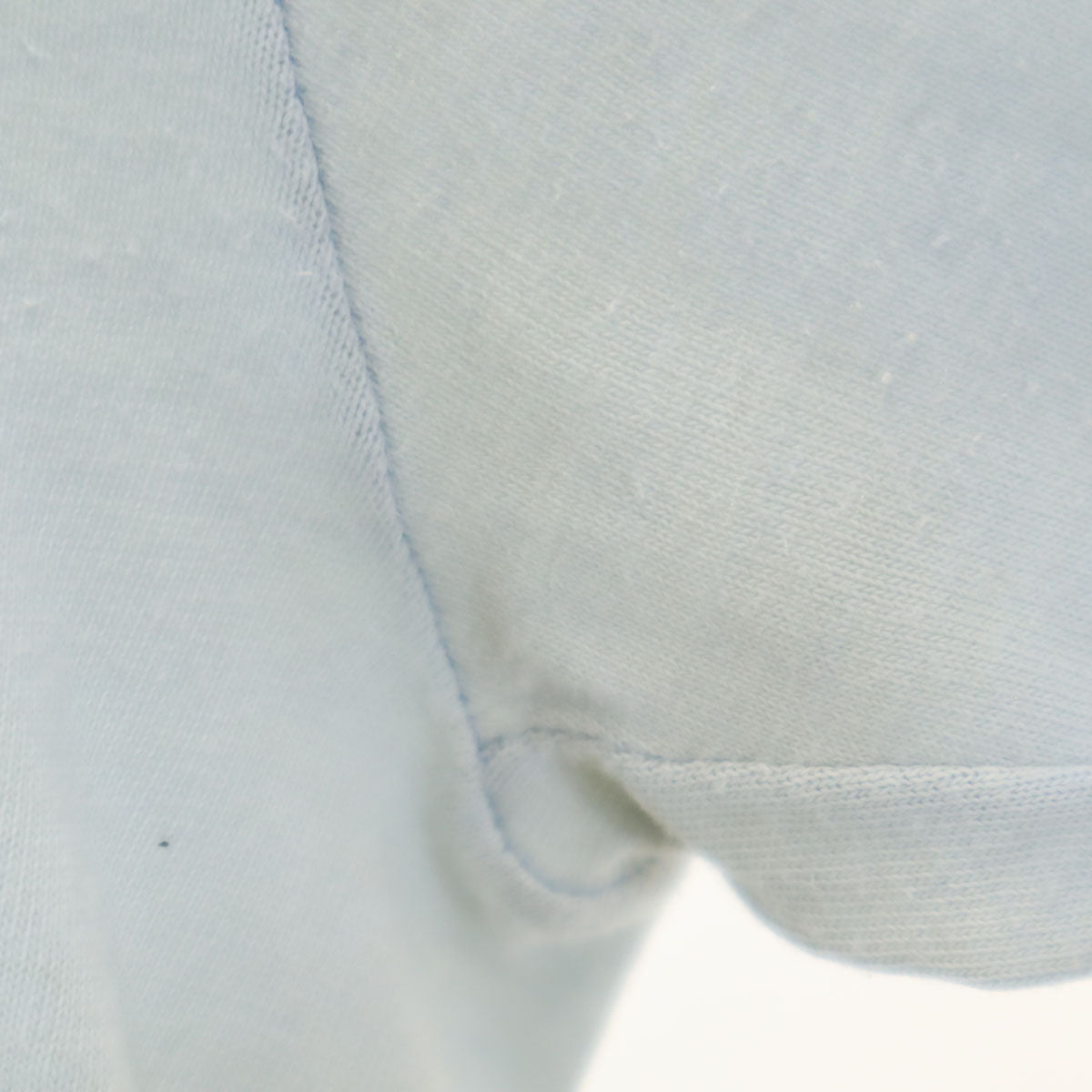 SIGNAL シグナル 90s USA製 オールド 浮世絵 バックプリント 長袖 シングルステッチ Tシャツ M 水色 ロンT 鳥 メンズ