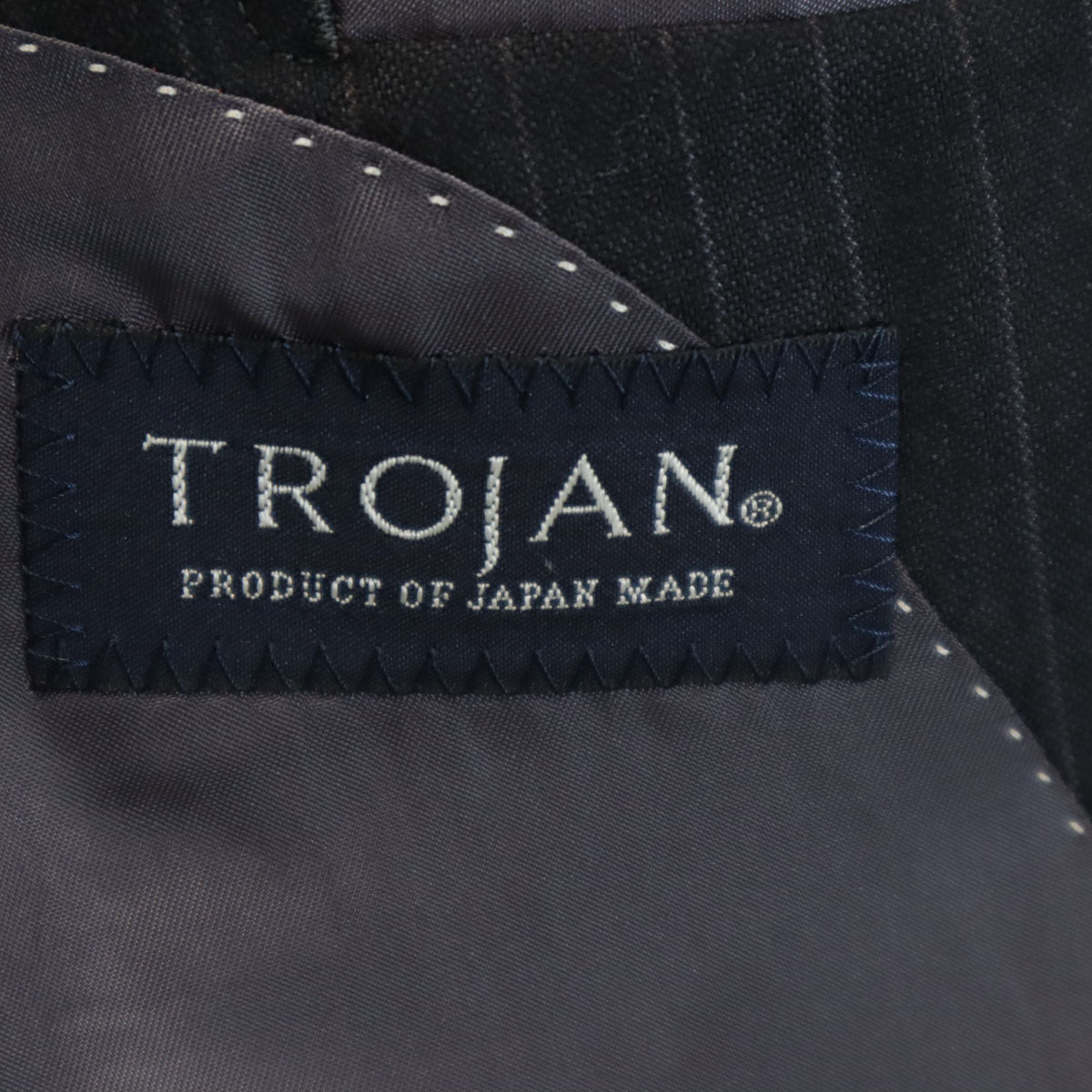 TROJAN トロージャン 日本製 ストライプ柄 エルメネジルドゼニア生地 スーツ 上下 セットアップ AB5 チャコールグレー メンズ