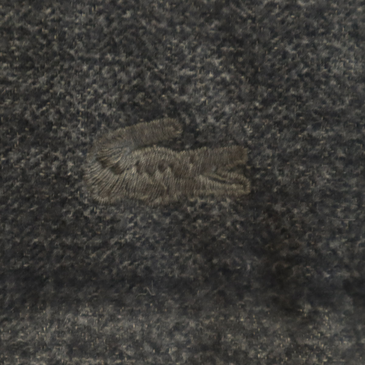 LACOSTE ラコステ ダウンジャケット 50 チャコールグレー メンズ