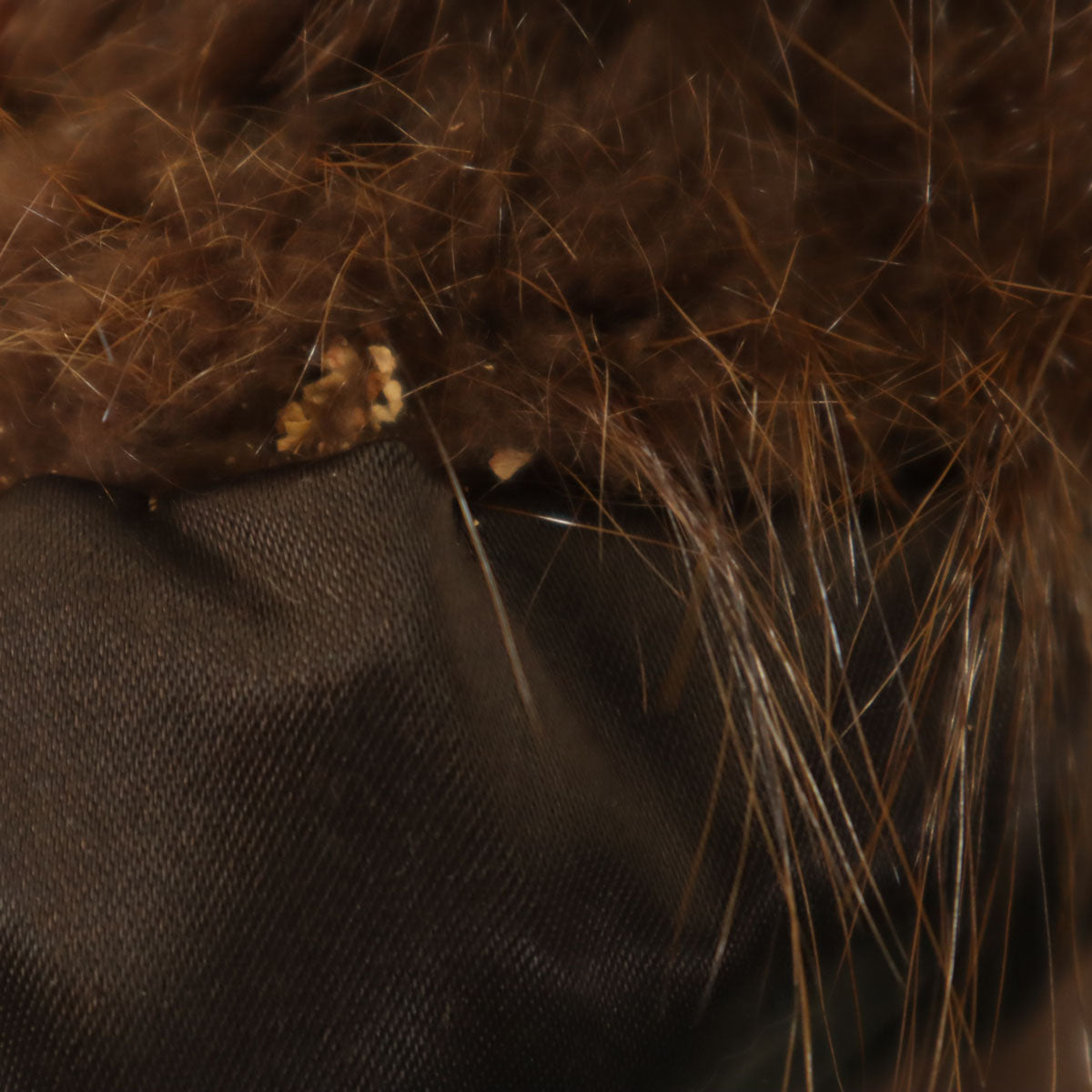 CASA LOPEZ 毛皮コート ブラウン レディース