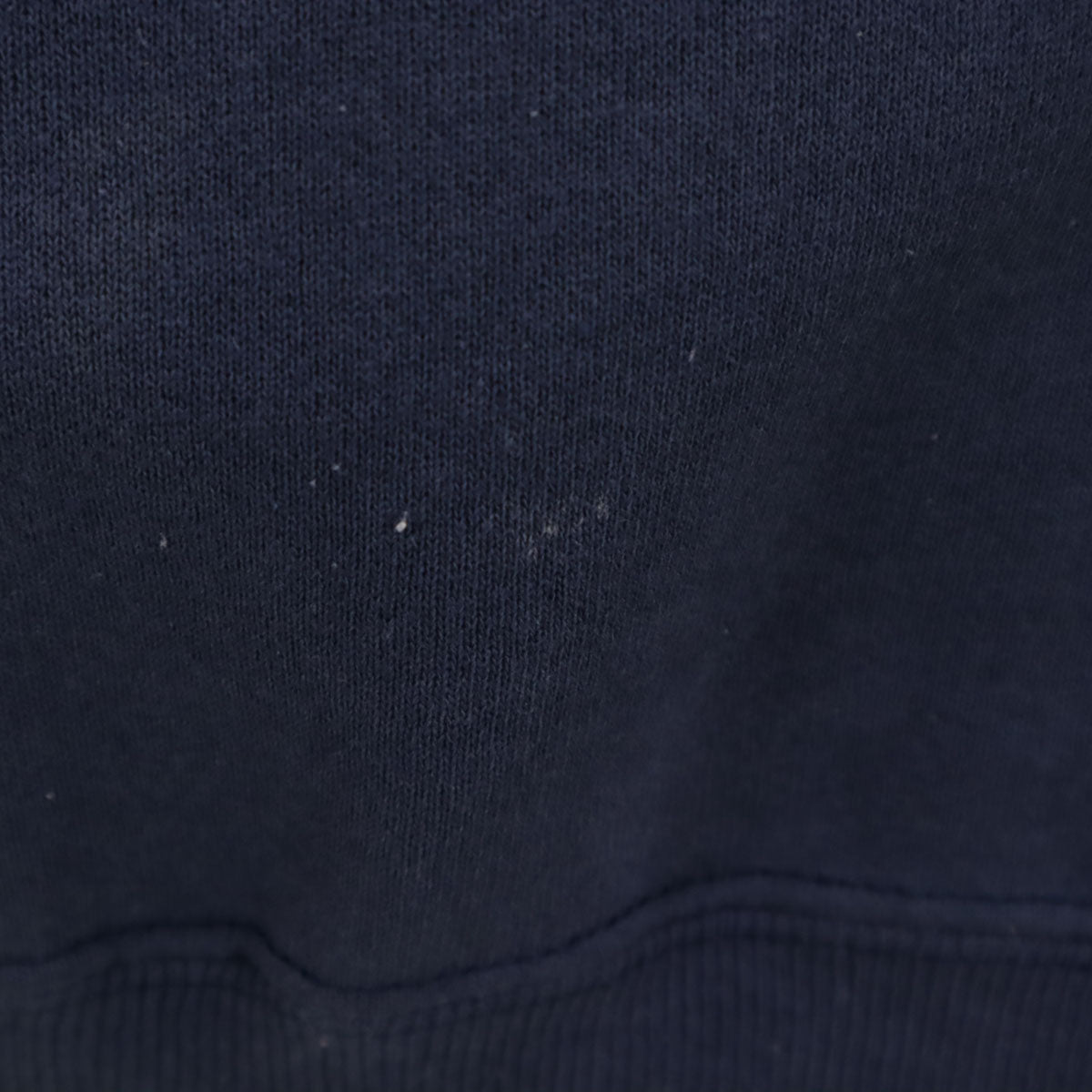 Hanes ヘインズ 90s ワーナーブラザーズ 長袖 トレーナー ネイビー レディース