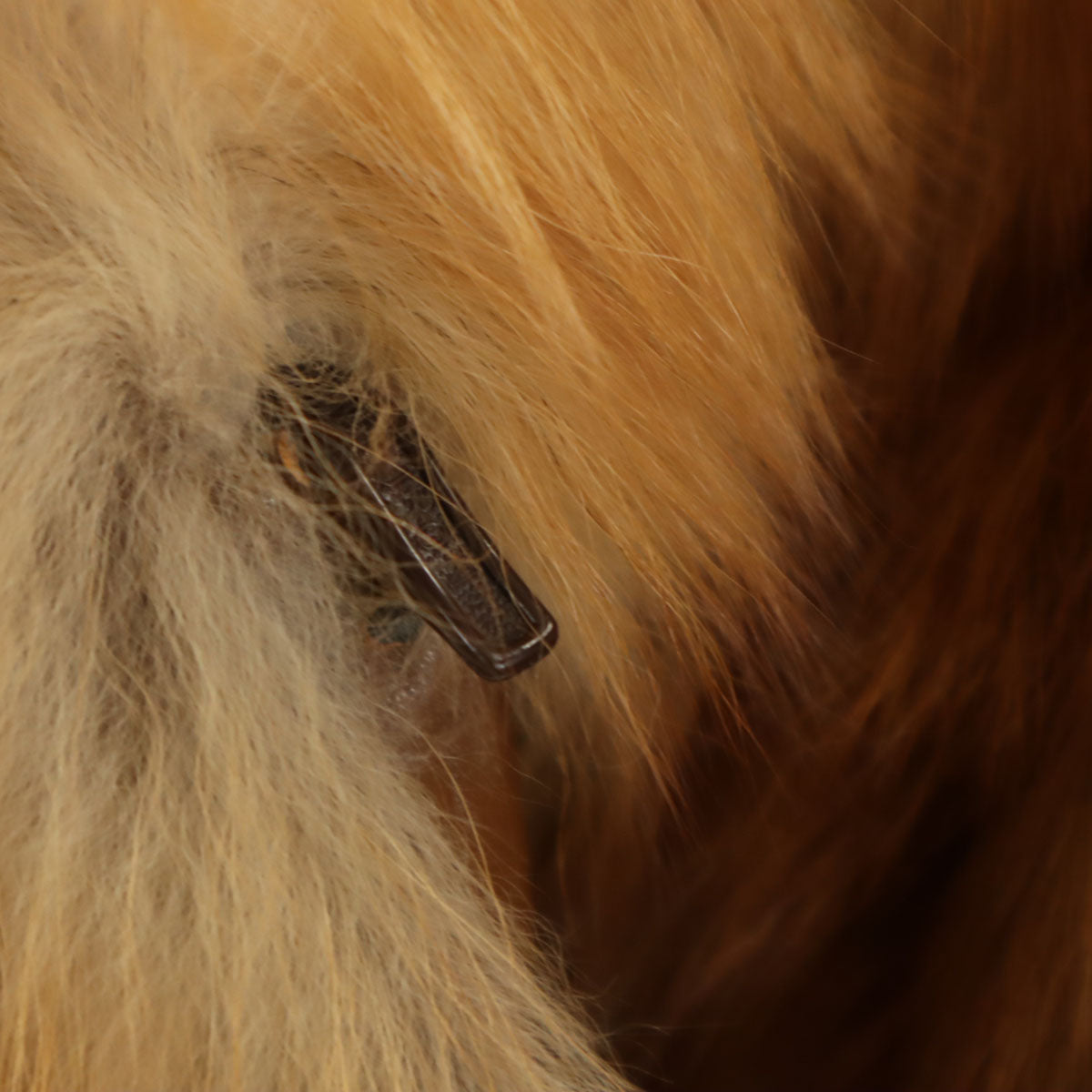 MITSUKOSHI ミツコシ 毛皮コート 11 ブラウン系 レディース