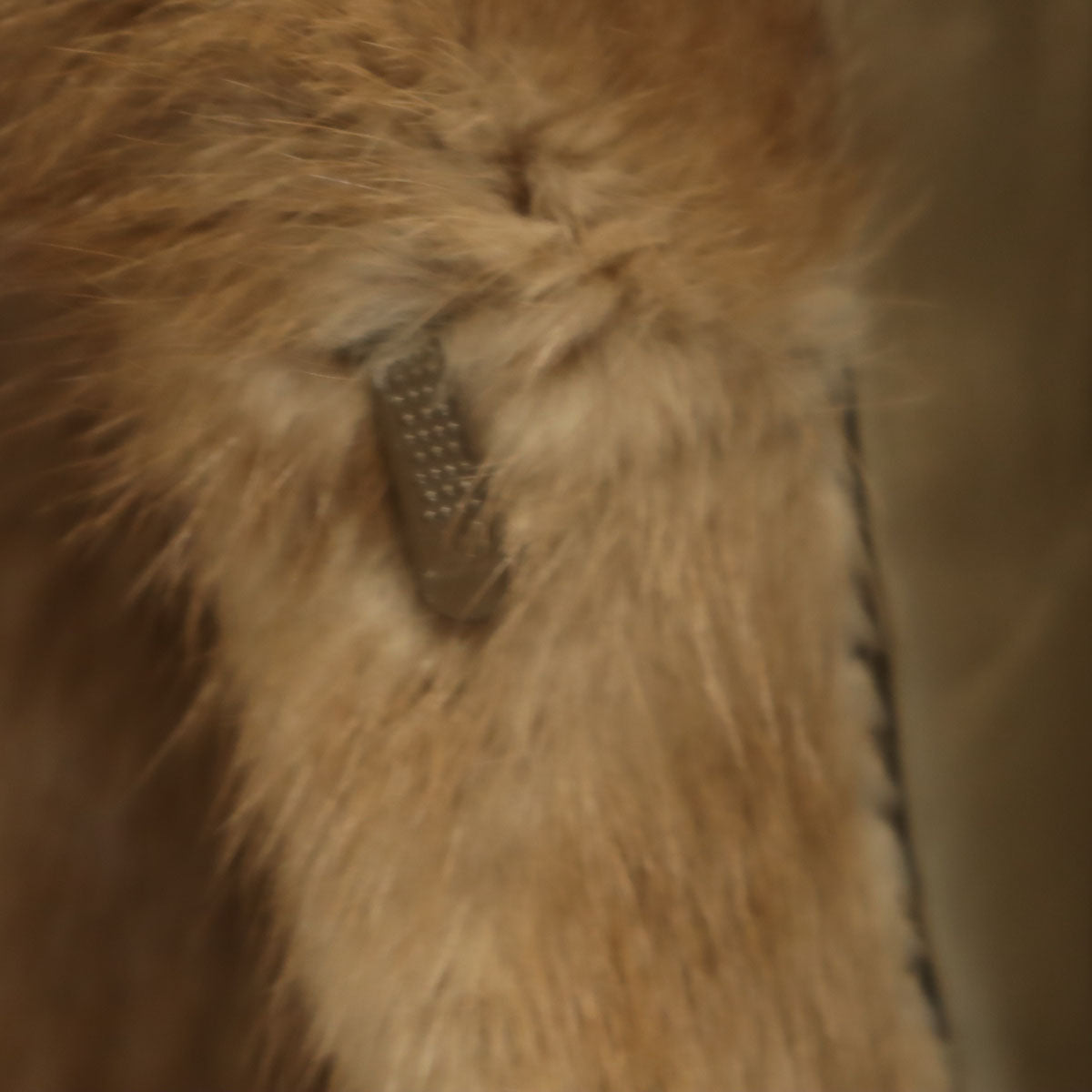 毛皮コート 11 ベージュ系 レディース