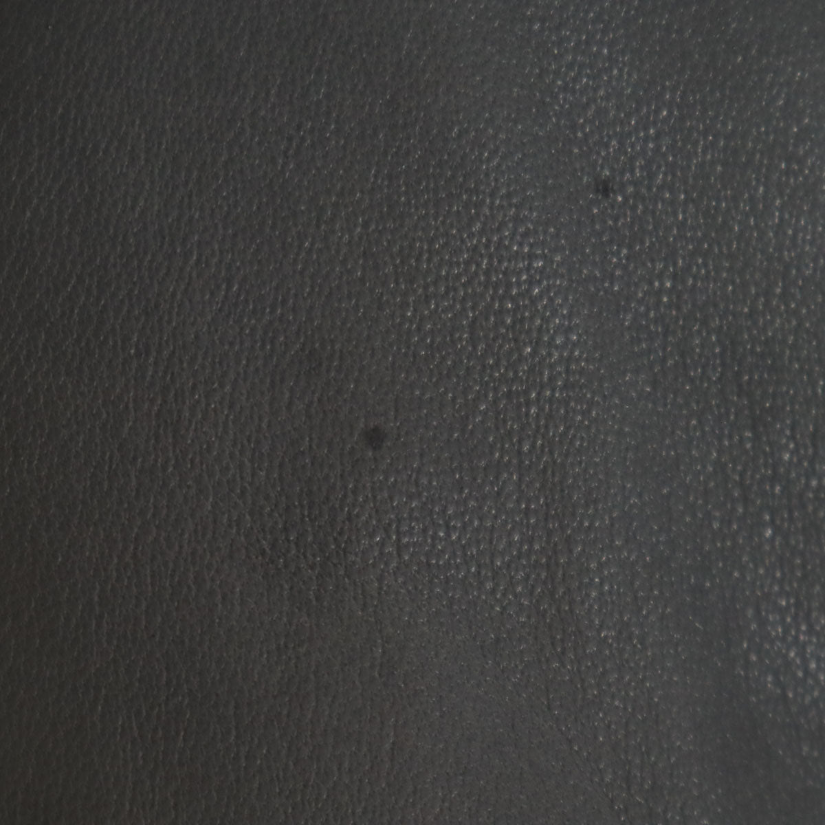 DOMENICO+SAVIO ドメニコアンドサビオ フード レザージャケット 46 チャコールグレー メンズ