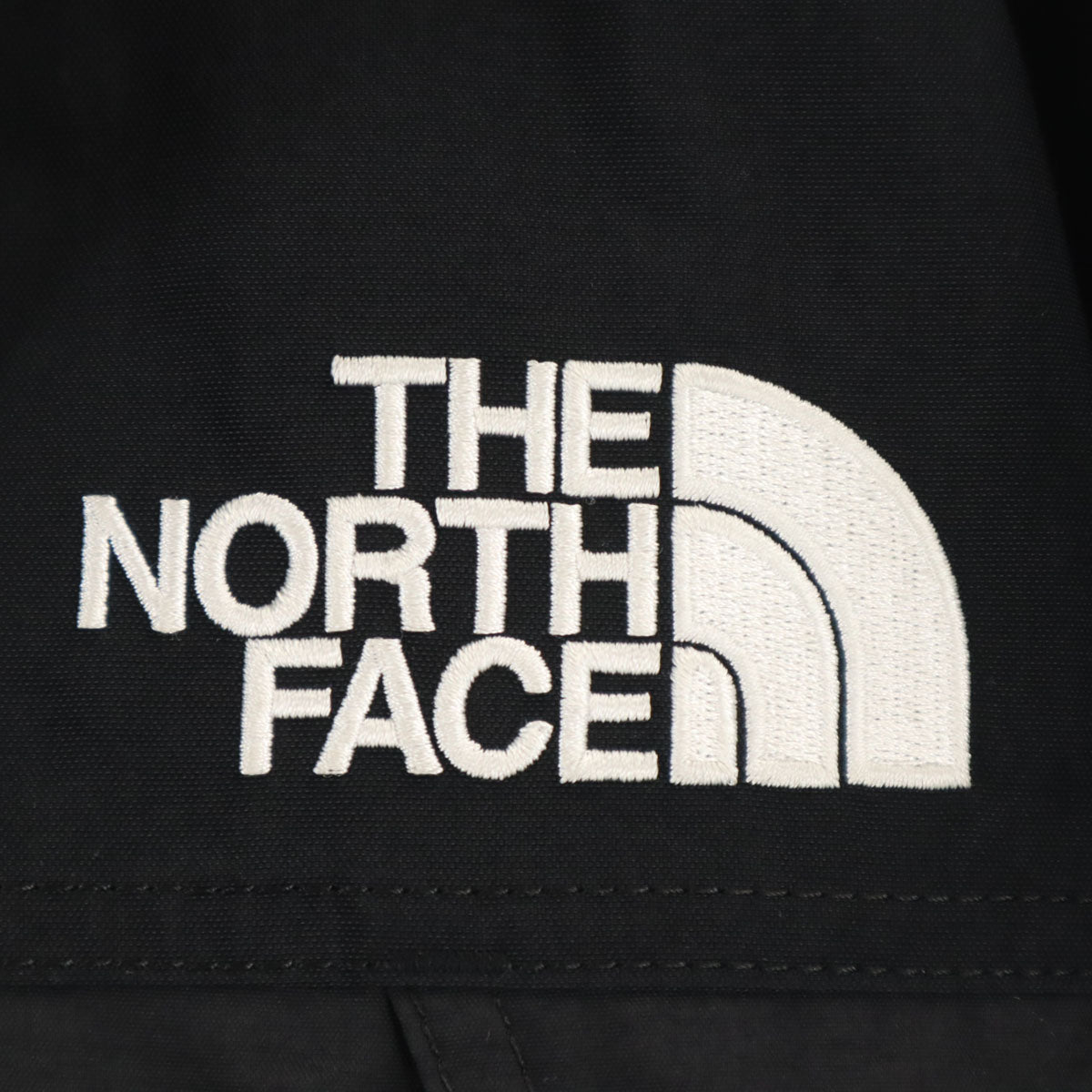 THE NORTH FACE ノースフェイス マウンテン ダウンジャケット L ブラック ND91930 アウトドア GORE-TEX メンズ