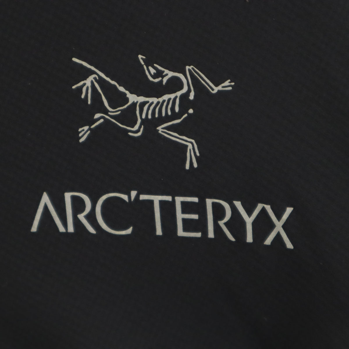 ARC'TERYX アークテリクス ATOM HOODY アトム ジャケット M ブラック アウトドア メンズ