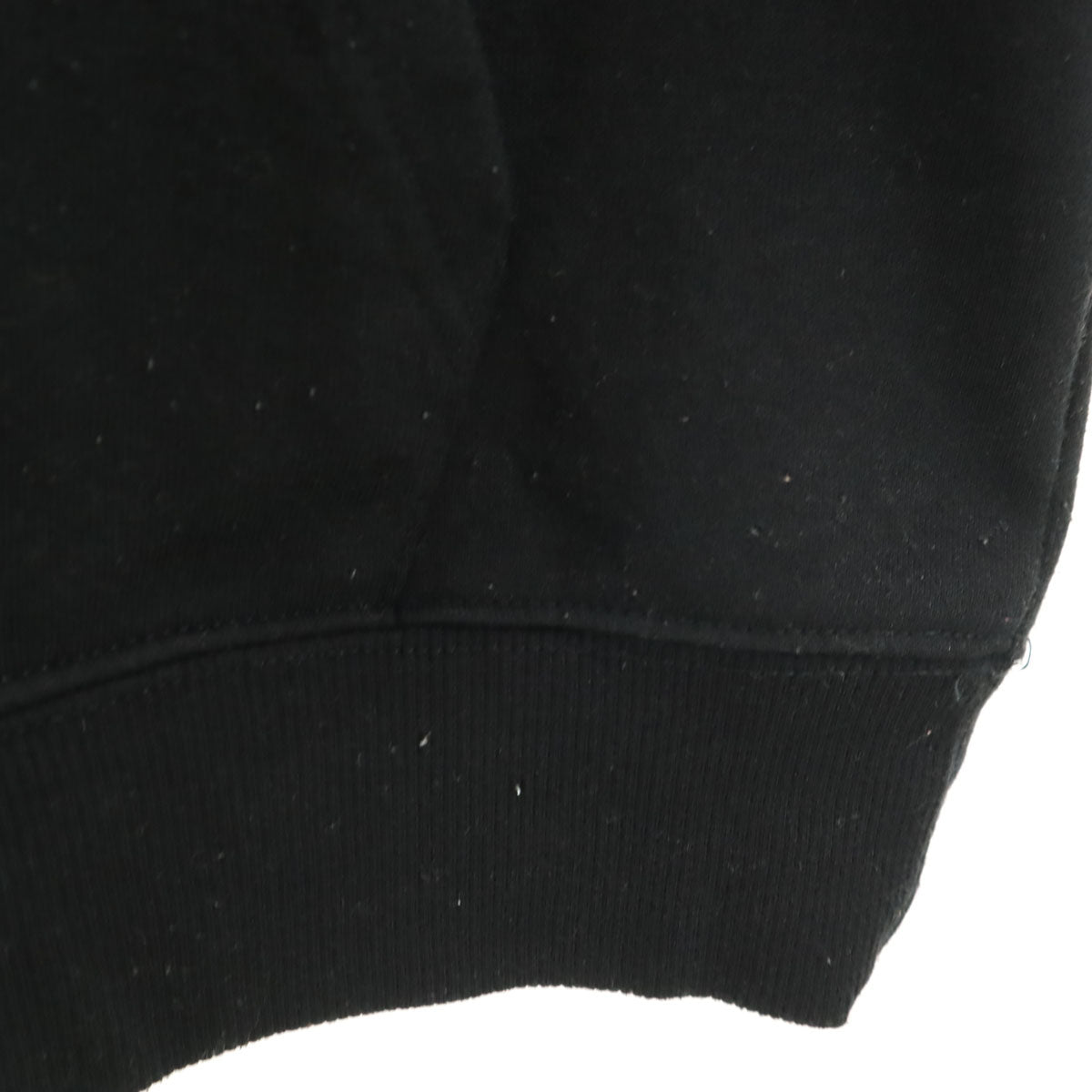 EdHardy エドハーディー バックプリント 長袖 スウェットパーカー M 黒 プルオーバー 裏起毛 メンズ