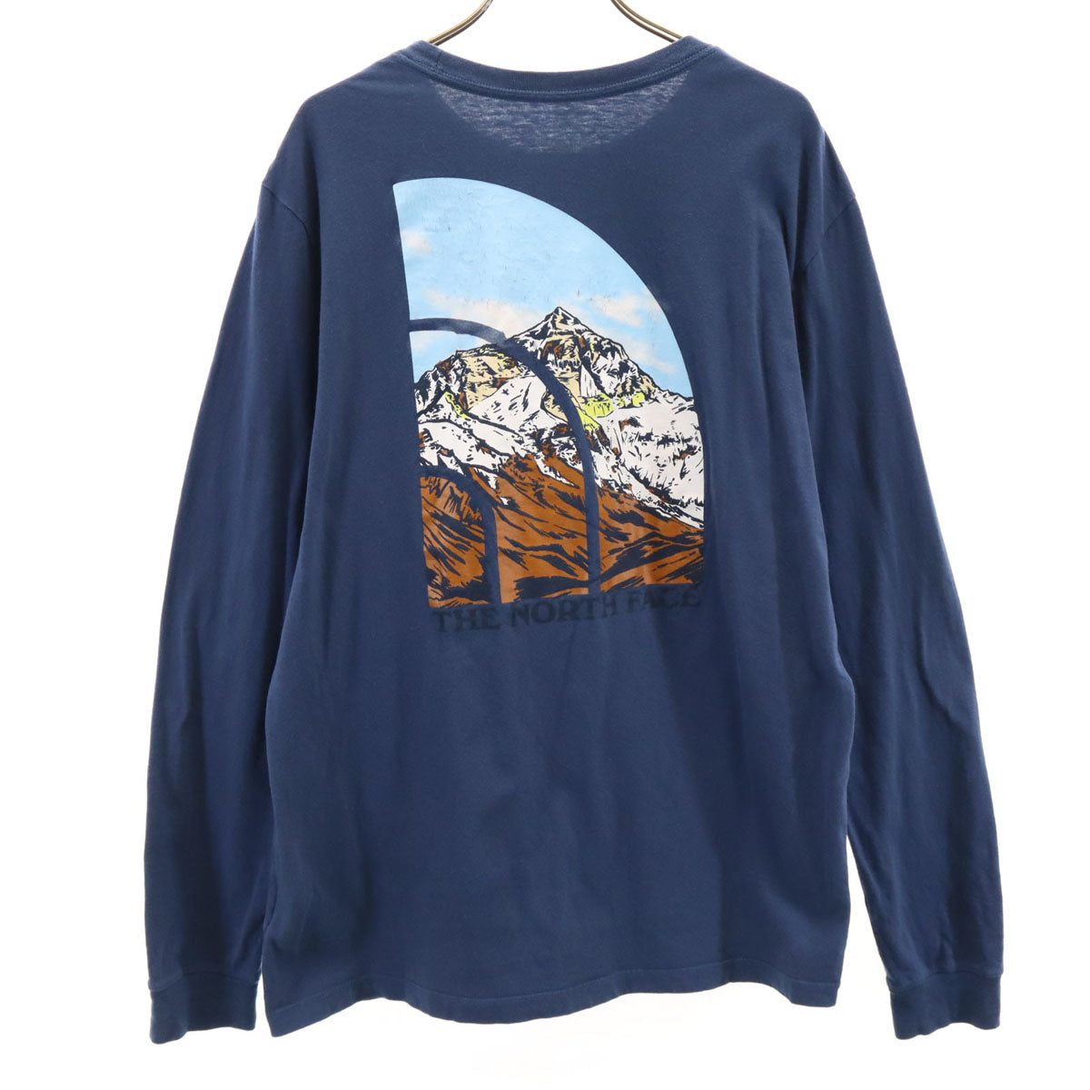 THE NORTH FACE ノースフェイス バックプリント 長袖 Tシャツ M ネイビー AXEV388 アウトドア ロンT メンズ