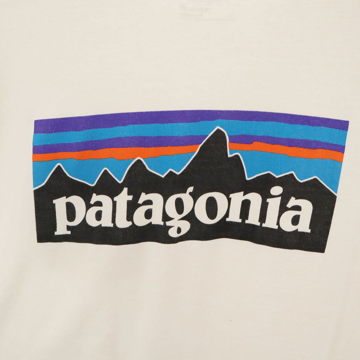 patagonia パタゴニア バックロゴ 半袖 Tシャツ L ホワイト 38910SP16 アウトドア メンズ