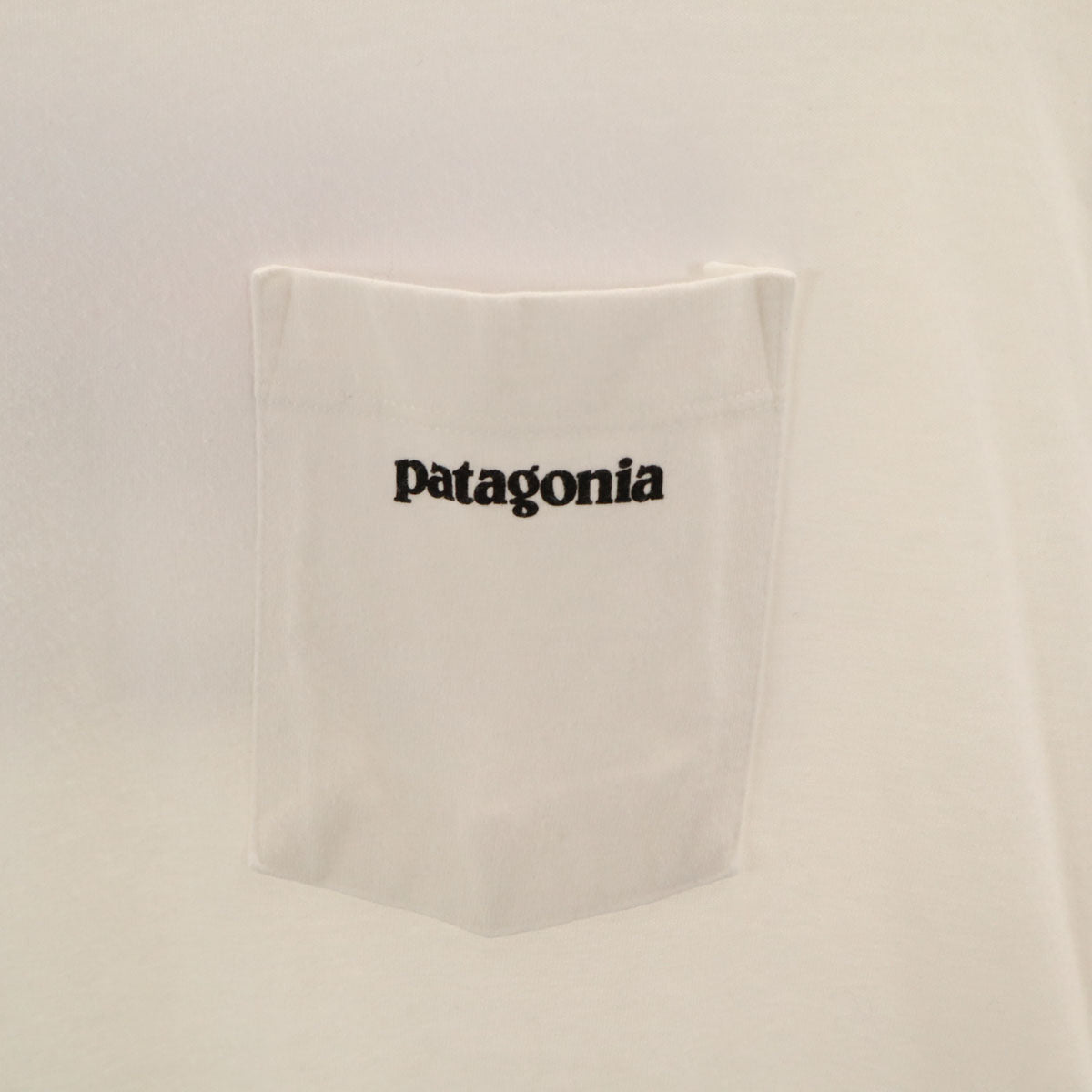 patagonia パタゴニア バックロゴ 半袖 Tシャツ L ホワイト 38910SP16 アウトドア メンズ