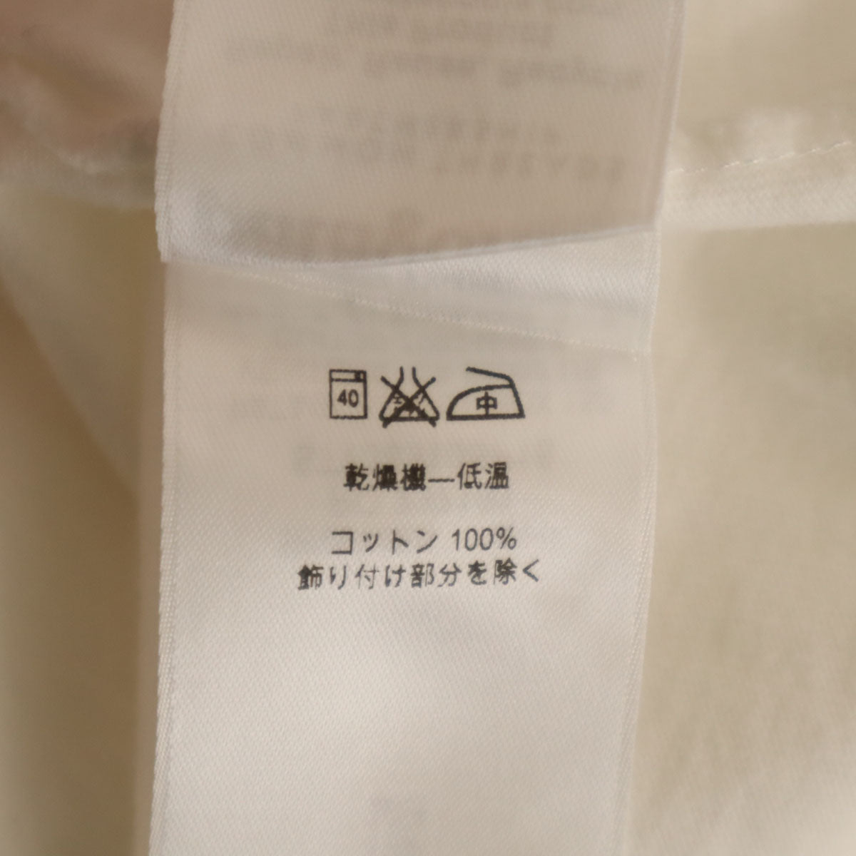 patagonia パタゴニア バックロゴ 半袖 Tシャツ L ホワイト 38910SP16 アウトドア メンズ