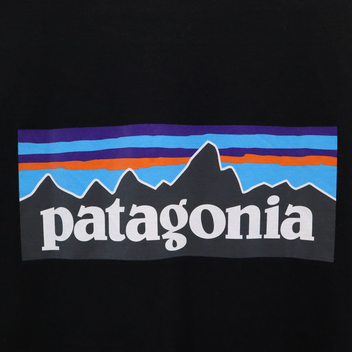 patagonia パタゴニア バックロゴ 半袖 レスポンシビリティー Tシャツ XL ブラック 38504SP20 アウトドア メンズ