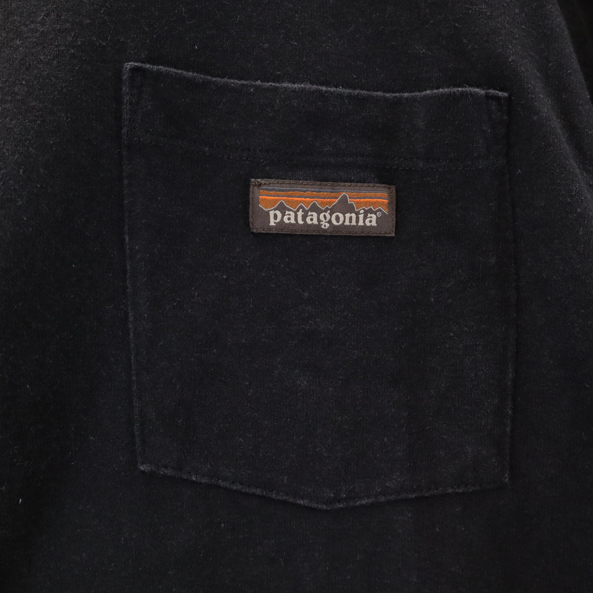 patagonia パタゴニア 長袖 Tシャツ S ブラック 53385FA21 アウトドア ロンT メンズ