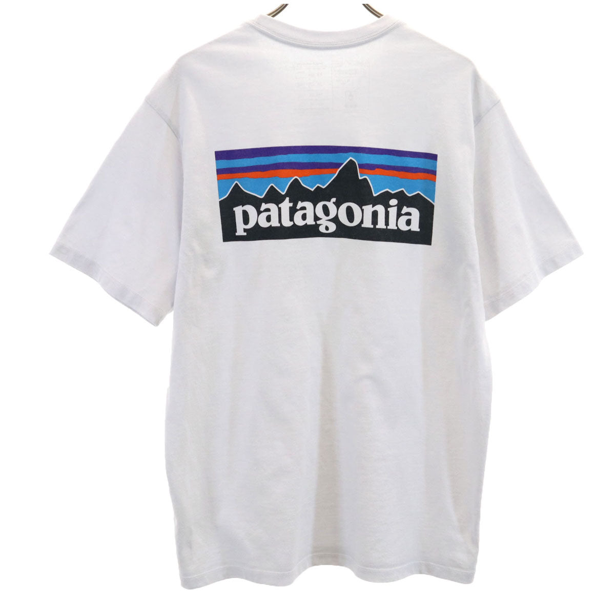 patagonia パタゴニア バックロゴ 半袖 Tシャツ S ブルーホワイト 38504SP21 アウトドア メンズ