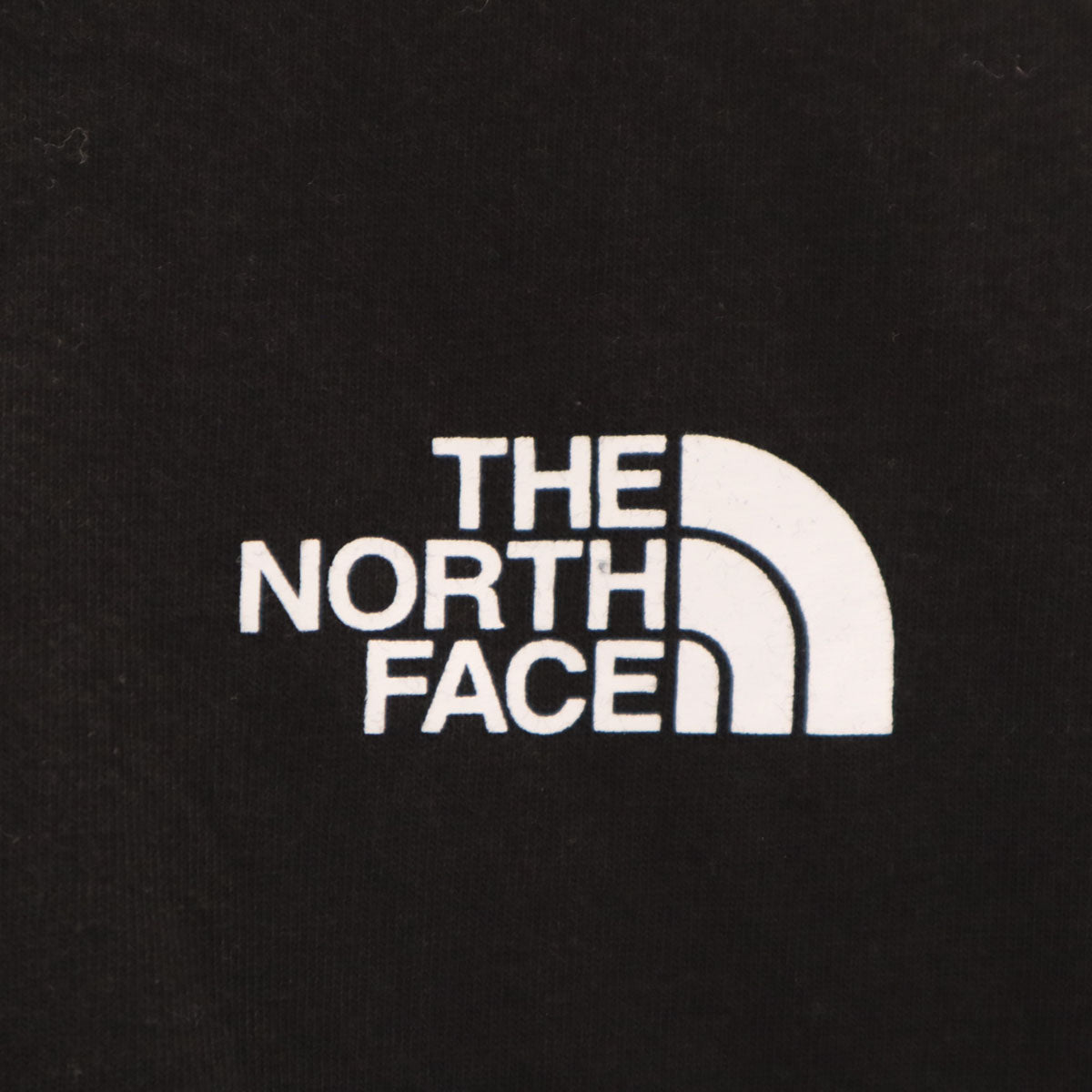 THE NORTH FACE ノースフェイス バックプリント 半袖 Tシャツ L ブラック NT7UN48A アウトドア メンズ