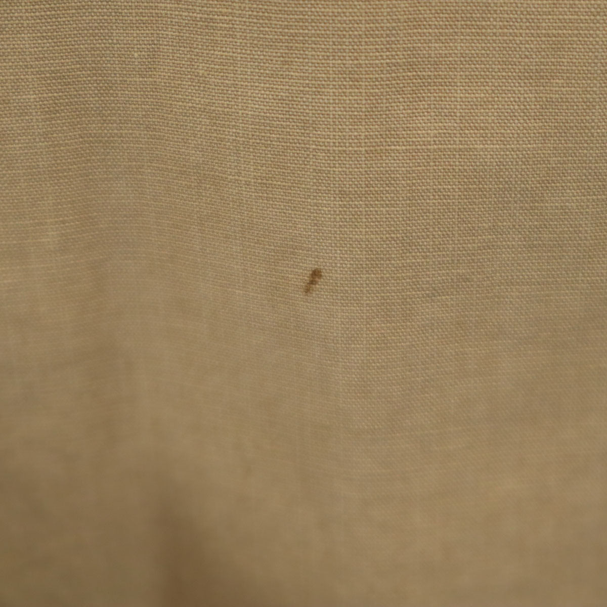 AMERI UNDRESSED アメリ 長袖 カットソー S ベージュ系 レディース