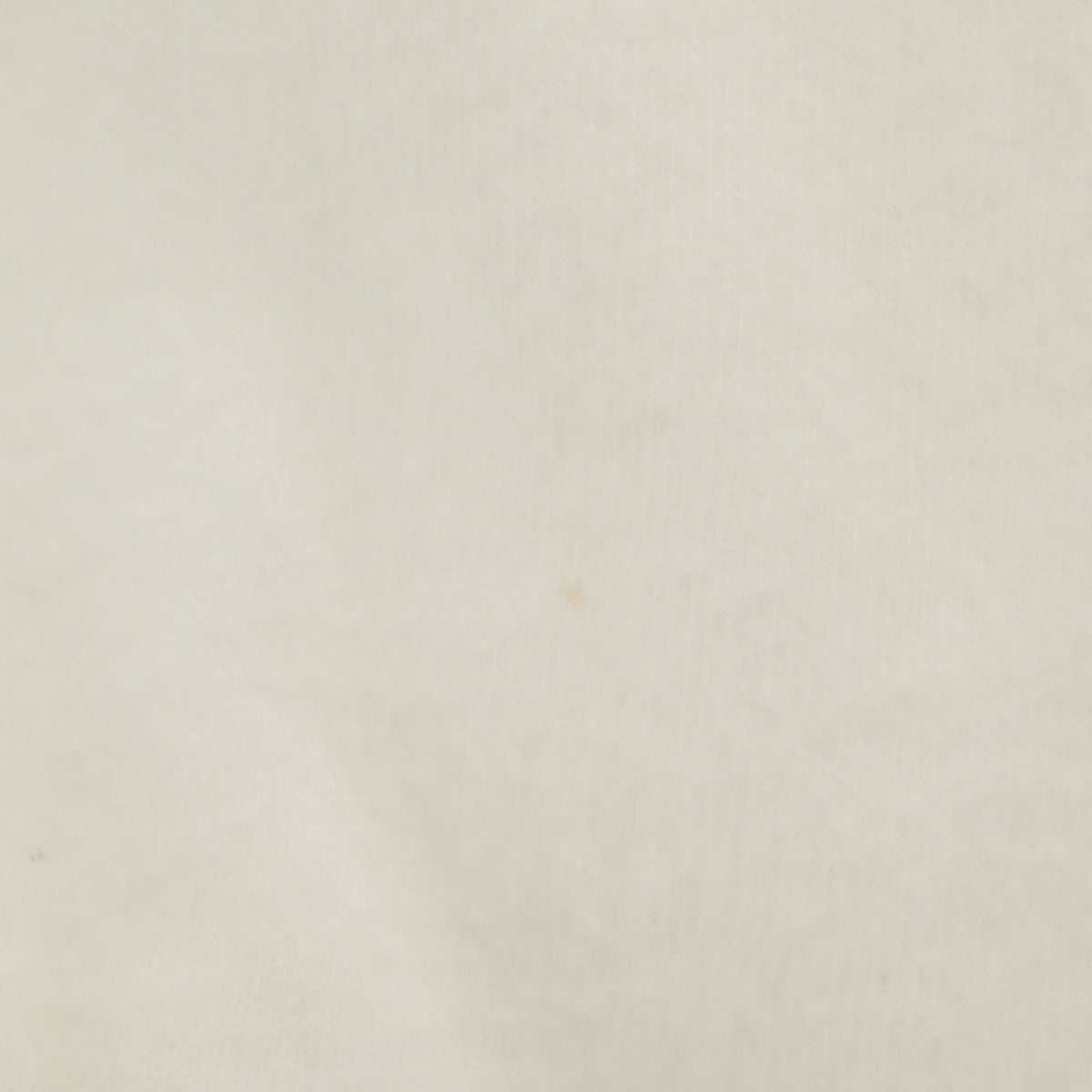 STUSSY ステューシー 90s 00s USA製 オールド 紺タグ 半袖 Tシャツ S アイボリー メンズ