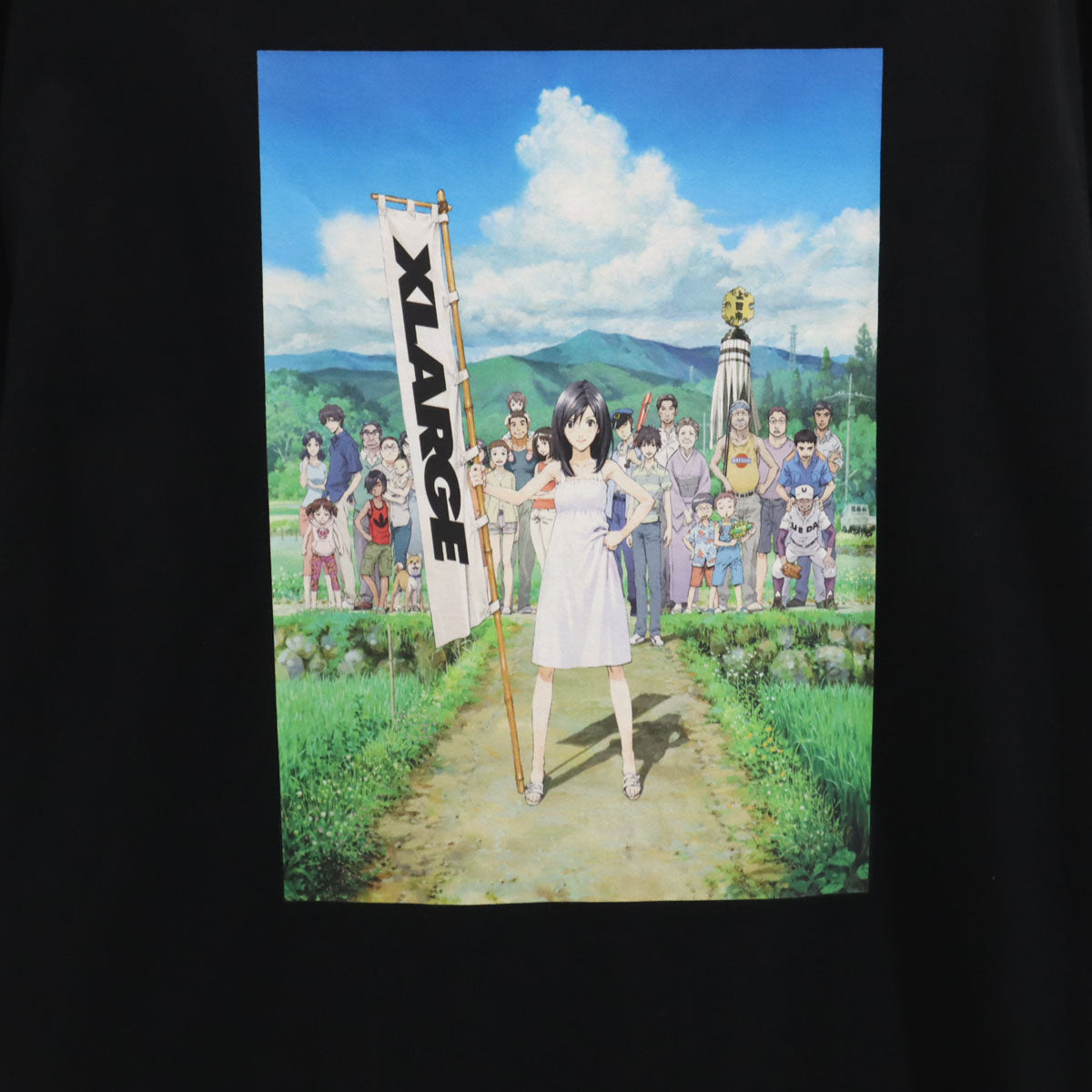 XLARGE エクストララージ SUMMER WARS サマーウォーズコラボ バックプリント 半袖 Tシャツ L ブラック ポケT メンズ