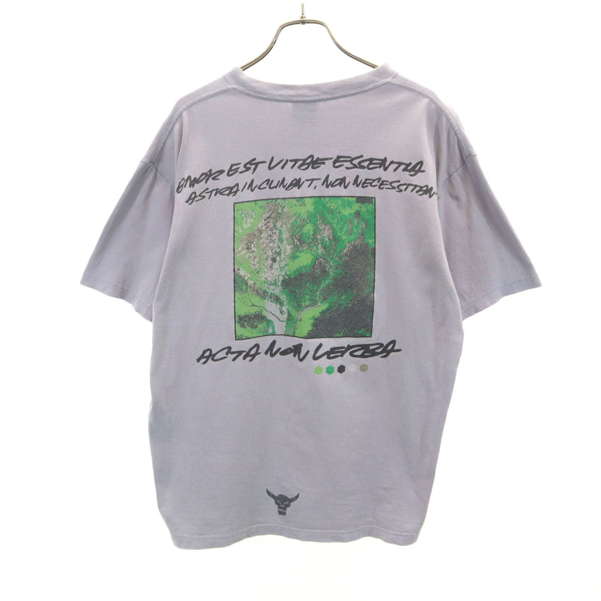 STUSSY ステューシー 00s オールド 半袖 Tシャツ L グレー メンズ