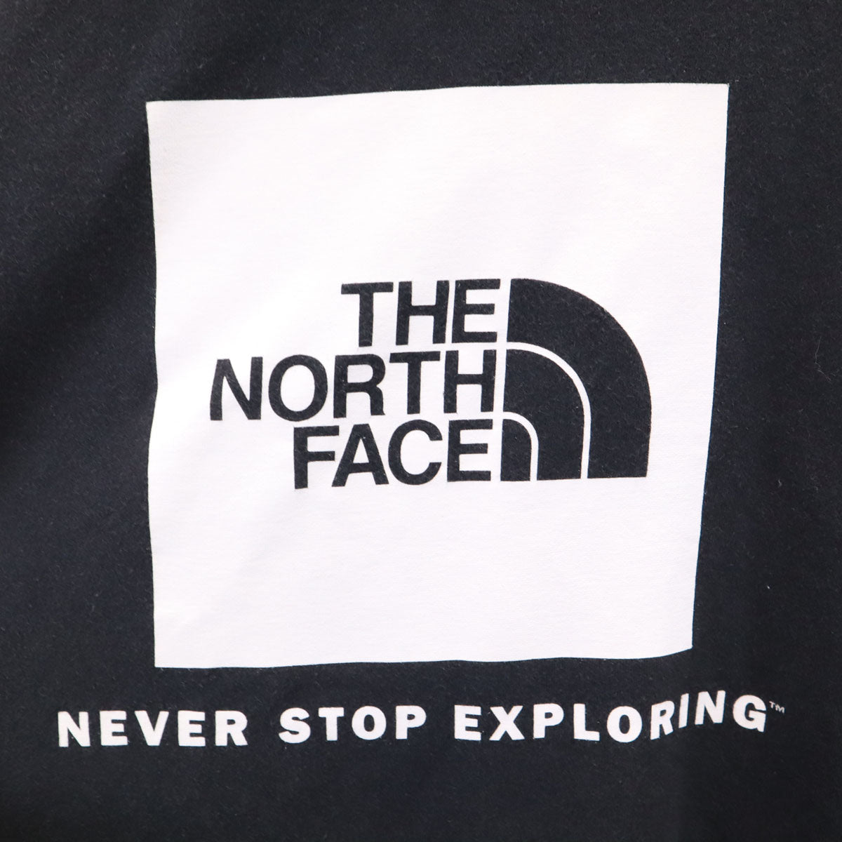 THE NORTH FACE ノースフェイス バックロゴ 長袖 スウェットパーカー L ブラック A3FRE アウトドア メンズ