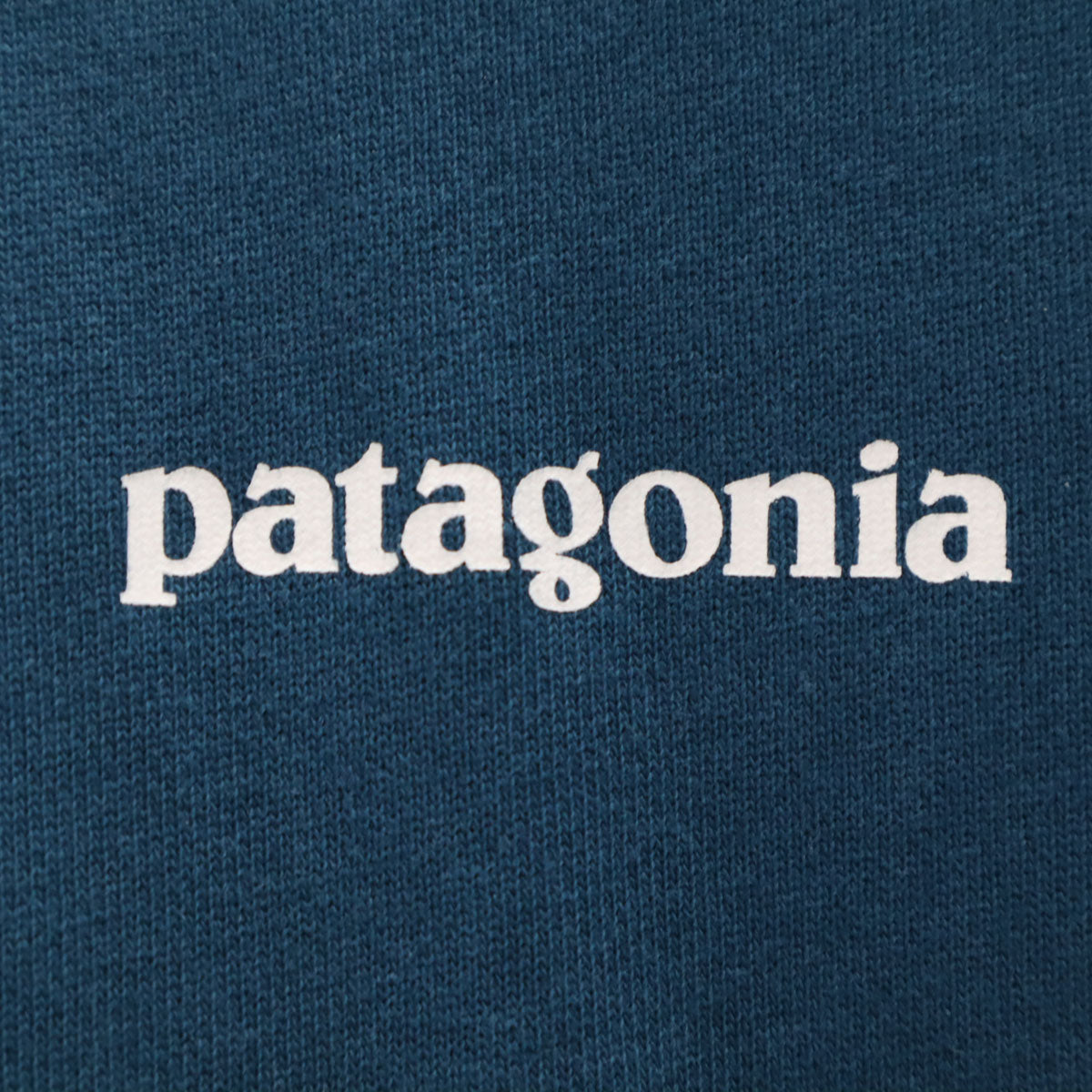 patagonia パタゴニア バックロゴ 長袖 スウェット トレーナー S 青紺 39603FA20 アウトドア メンズ