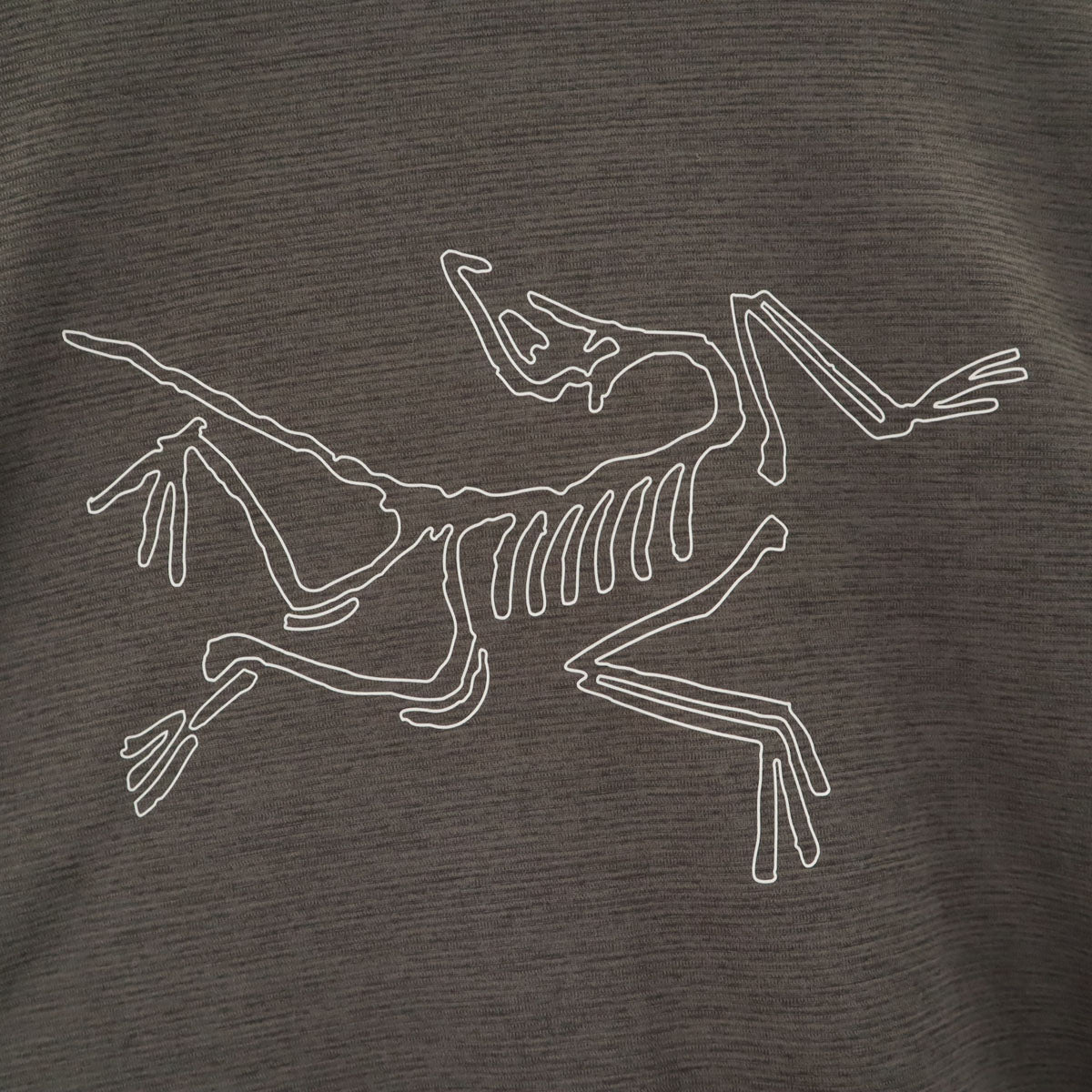 ARC'TERYX アークテリクス 長袖 コーマック Tシャツ S チャコールグレー ロンT アウトドア メンズ