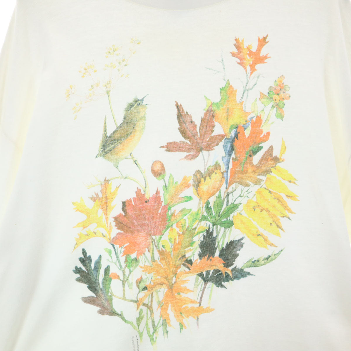 Hanes ヘインズ 90s オールド 染み込みプリント アニマル柄 花柄 長袖 Tシャツ L ホワイト メンズ