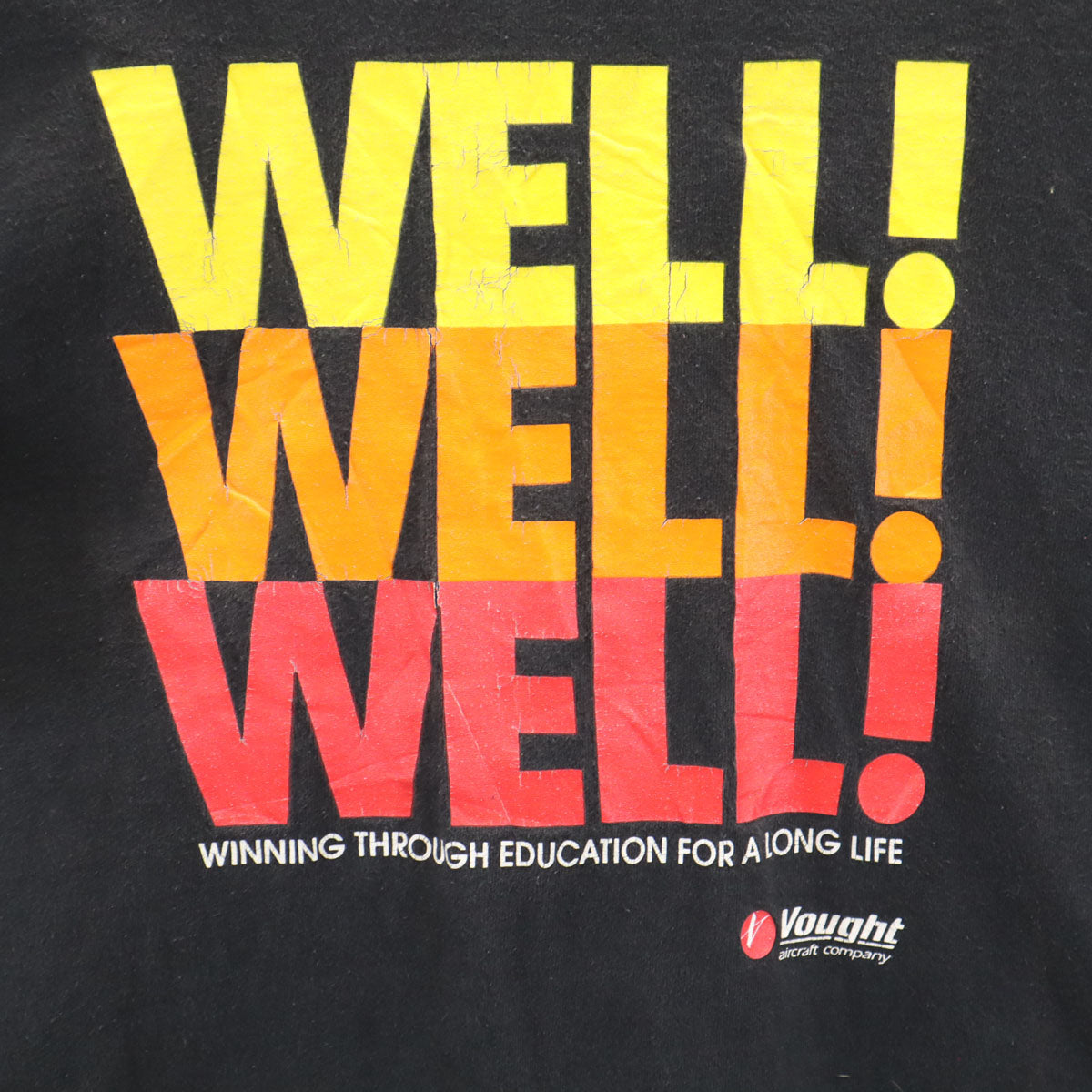 FRUIT OF THE LOOM フルーツオブザルーム 90s オールド USA製 企業モノ 半袖 シングルステッチ Tシャツ L ブラック 航空会社 メンズ