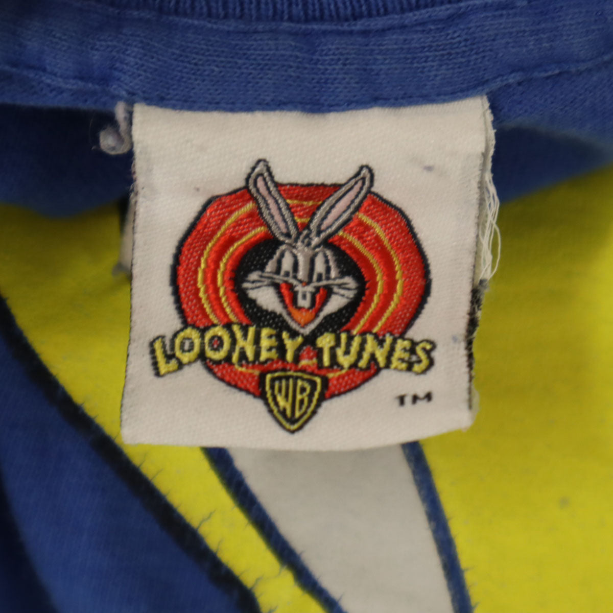 LOONEY TUNES ルーニーテューンズ 90s オールド USA製 トゥイーティー 半袖 シングルステッチ Tシャツ ブルー ワーナーブラザーズ メンズ